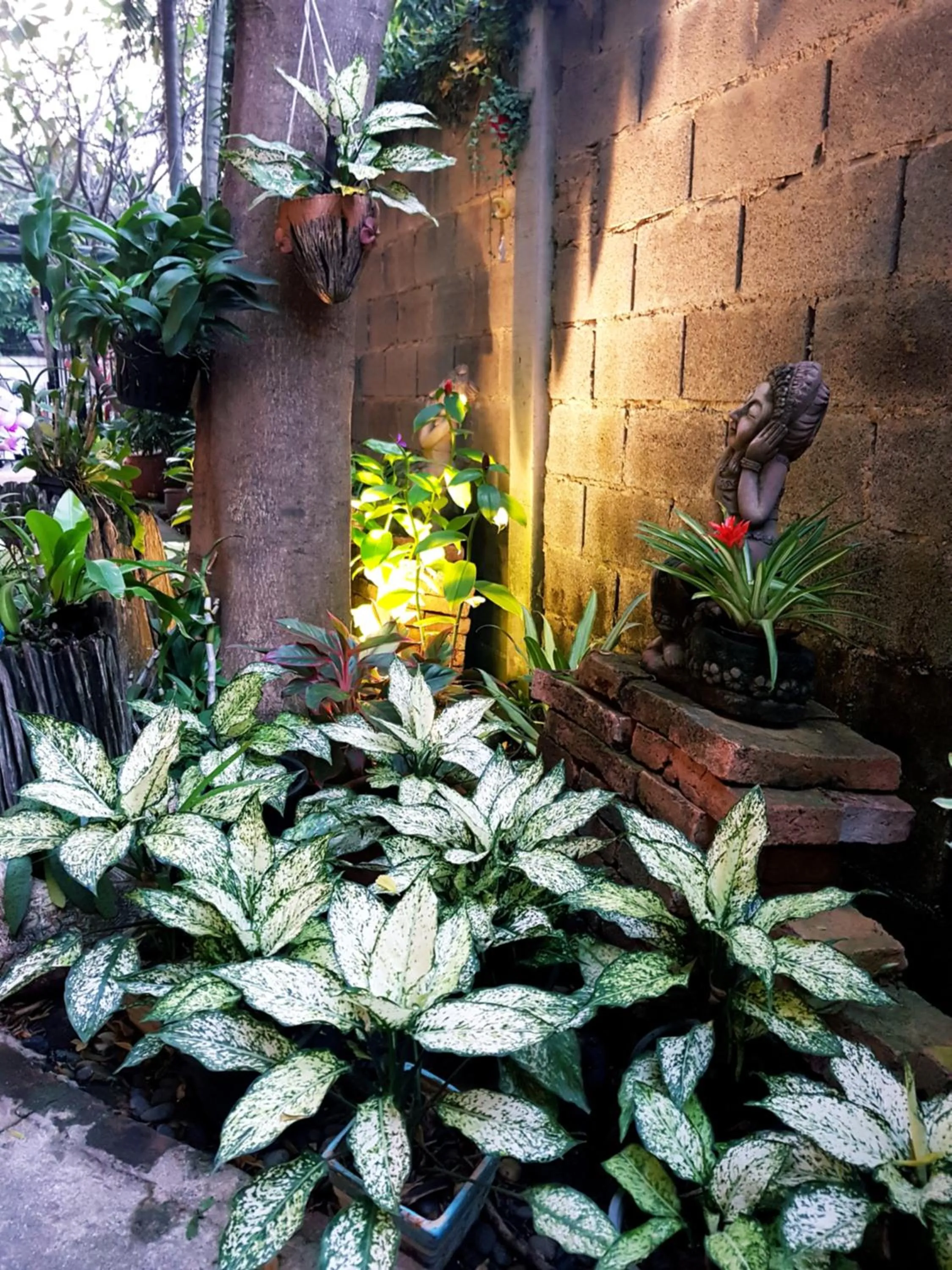 Garden in Baan Baimai Boutique Room