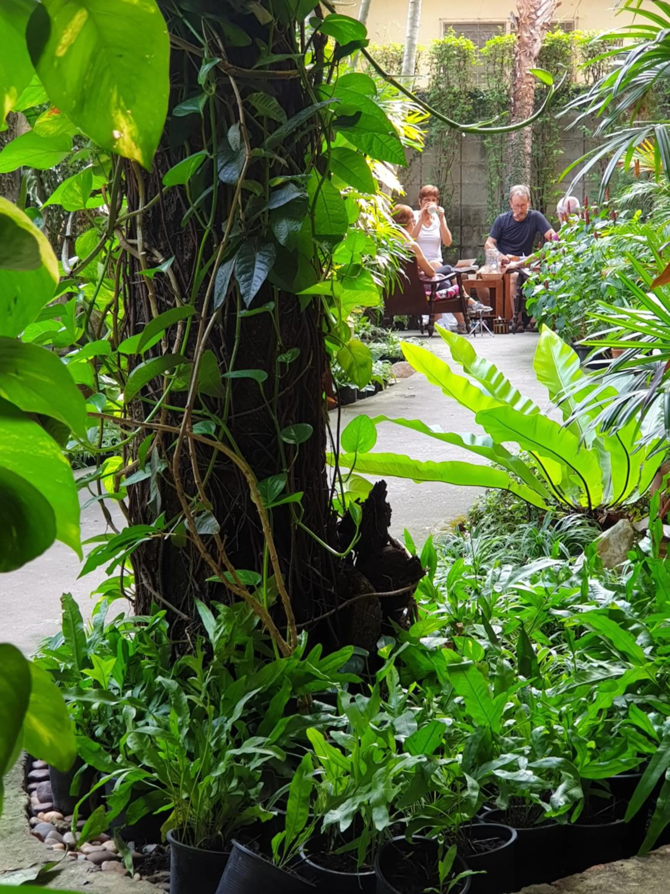 Baan Baimai Boutique Room