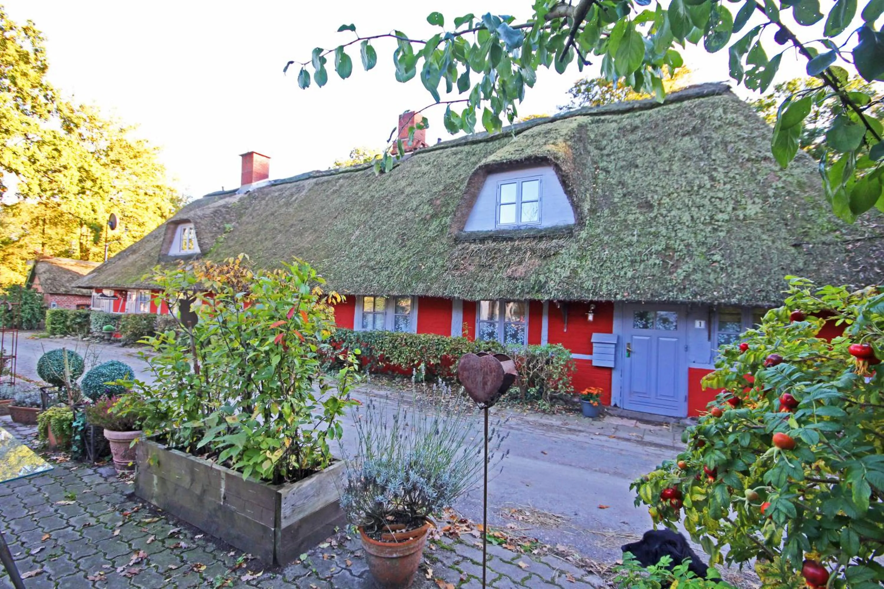 Facade/entrance in Wohnungen unter Reet