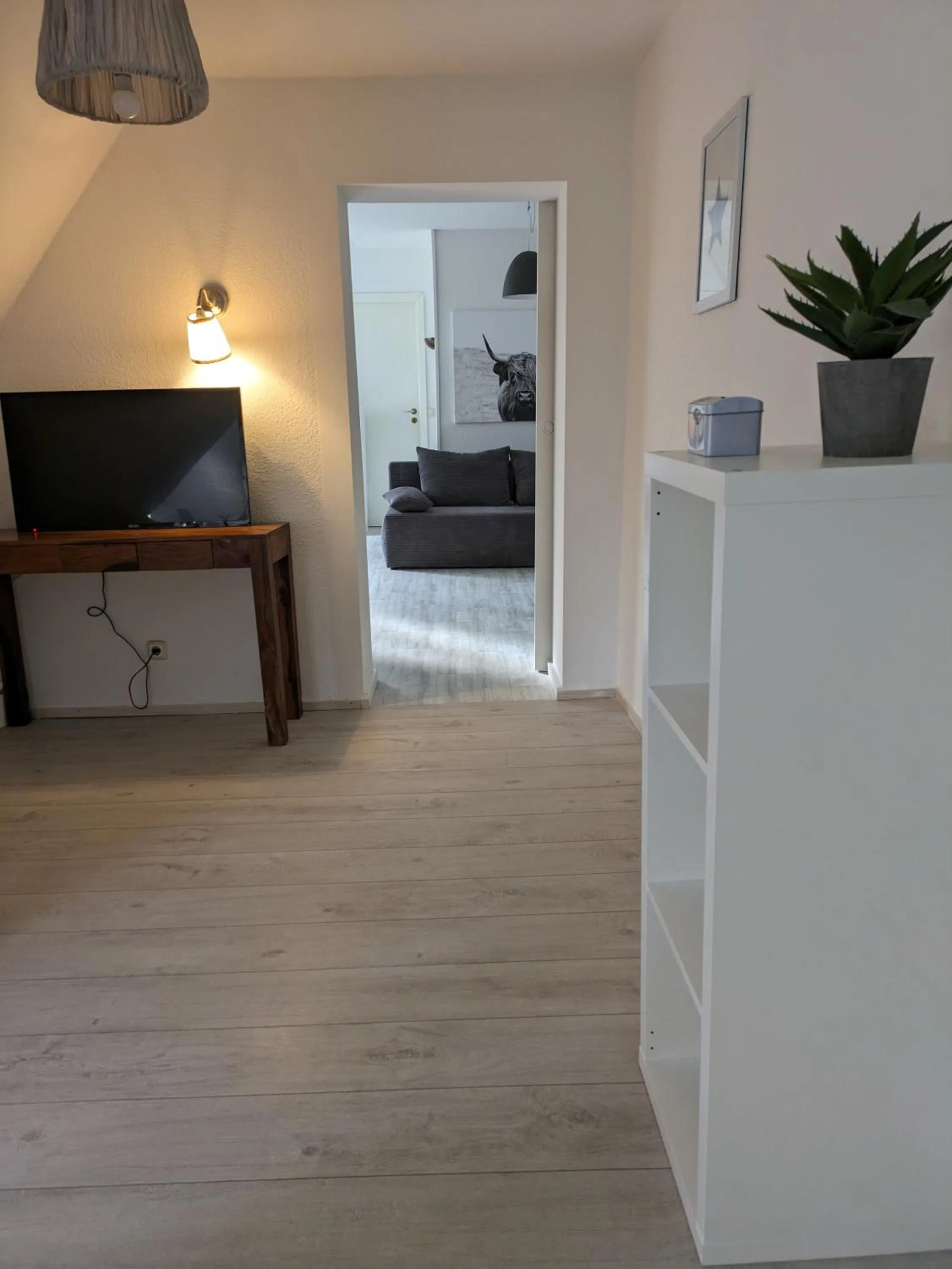 TV and multimedia in Wohnungen unter Reet