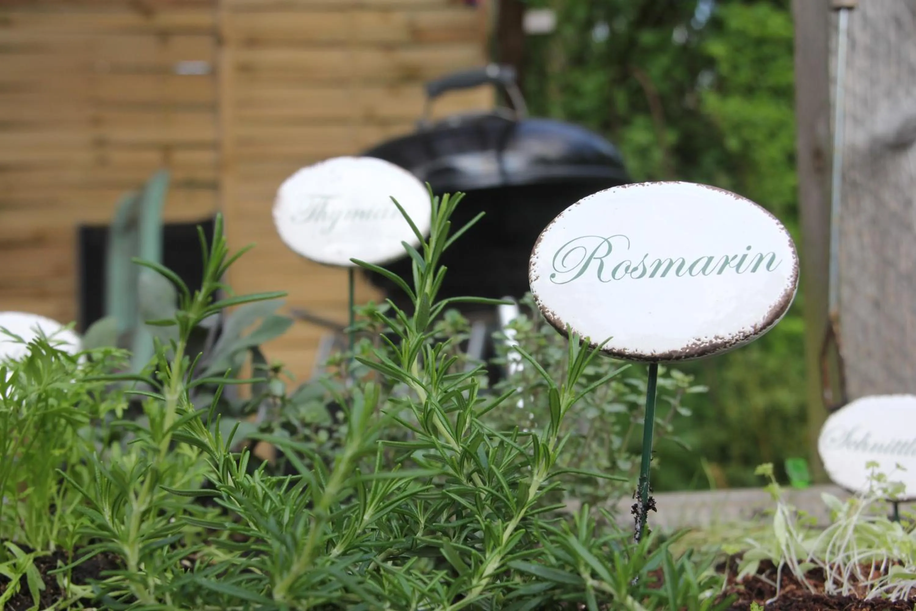 BBQ facilities in Wohnungen unter Reet