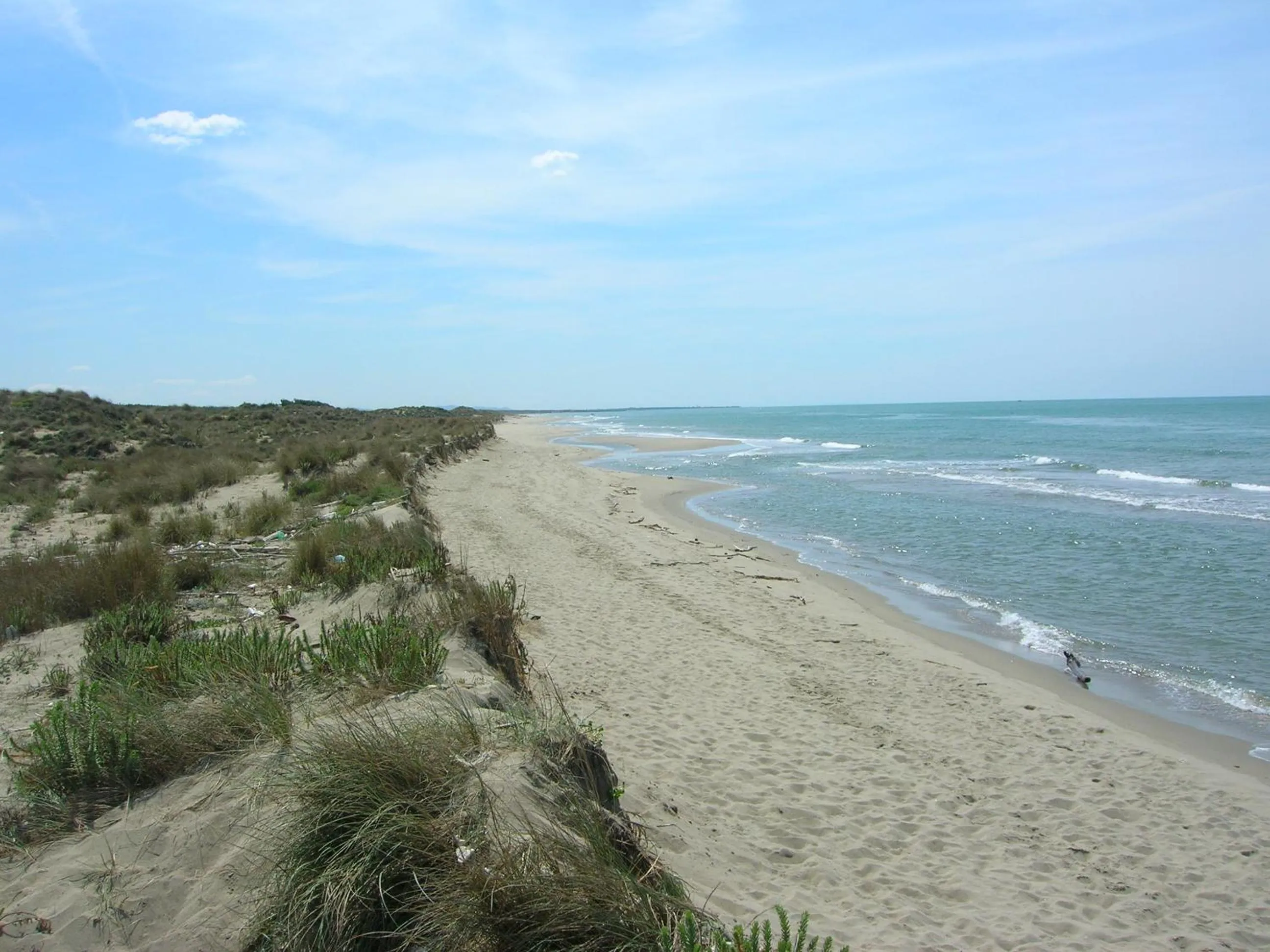 Beach in My Room Roma
