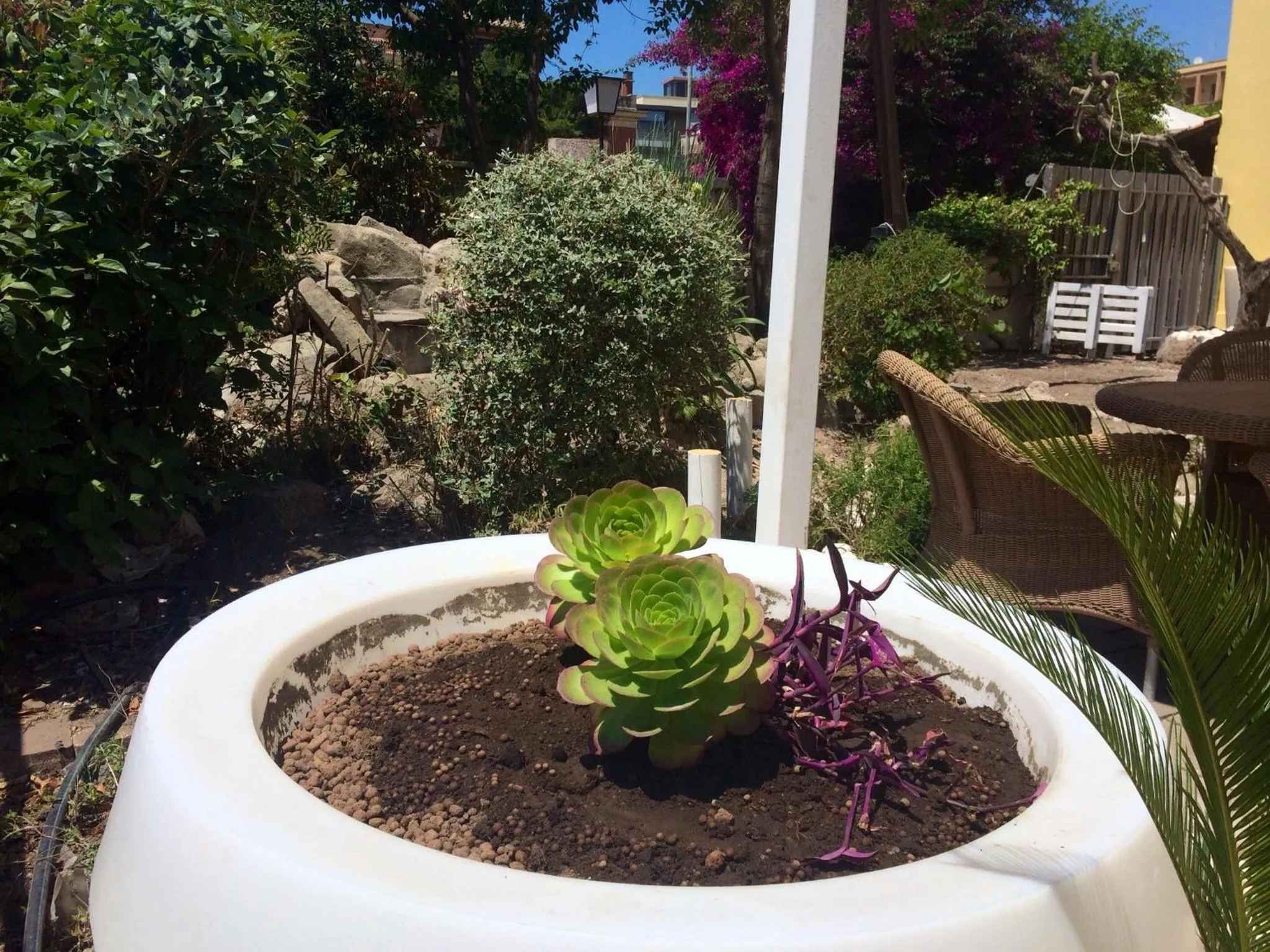 Garden in My Room Roma