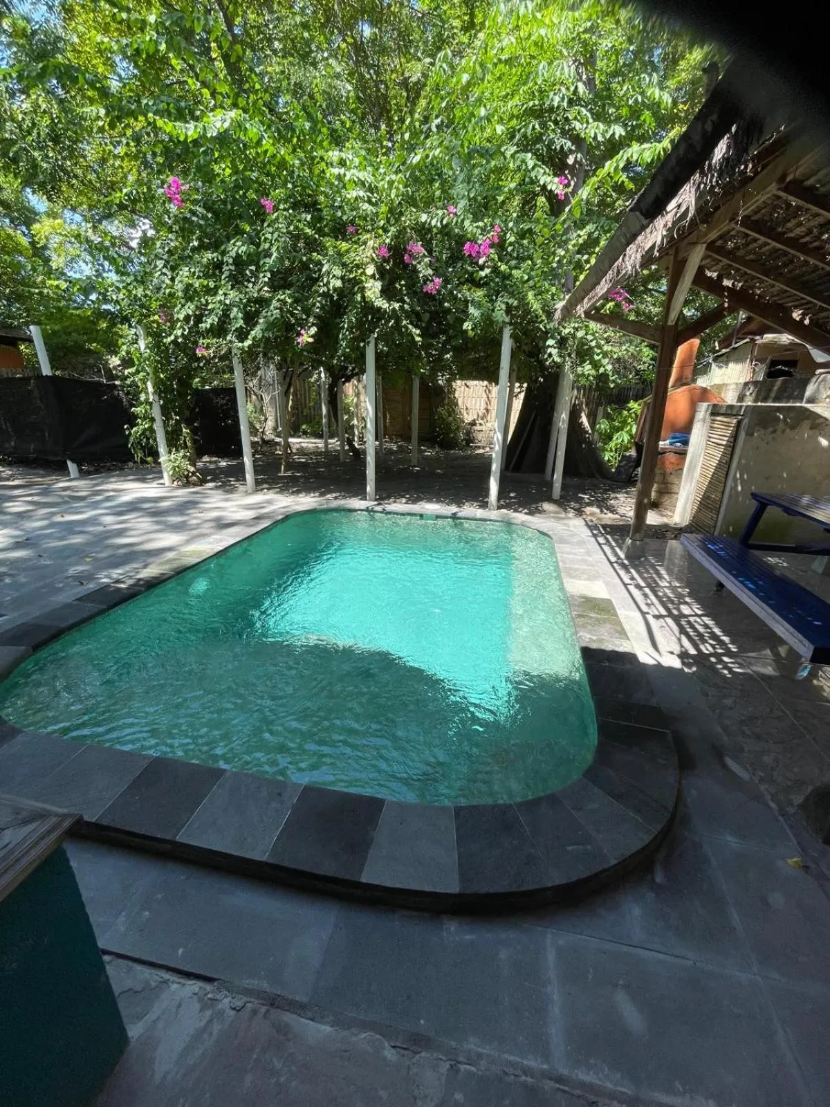 Elephant House and Bungalows Gili Air