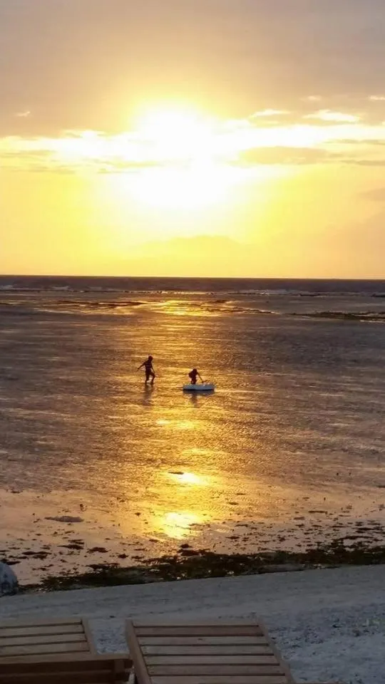 Beach in Elephant House and Bungalows Gili Air