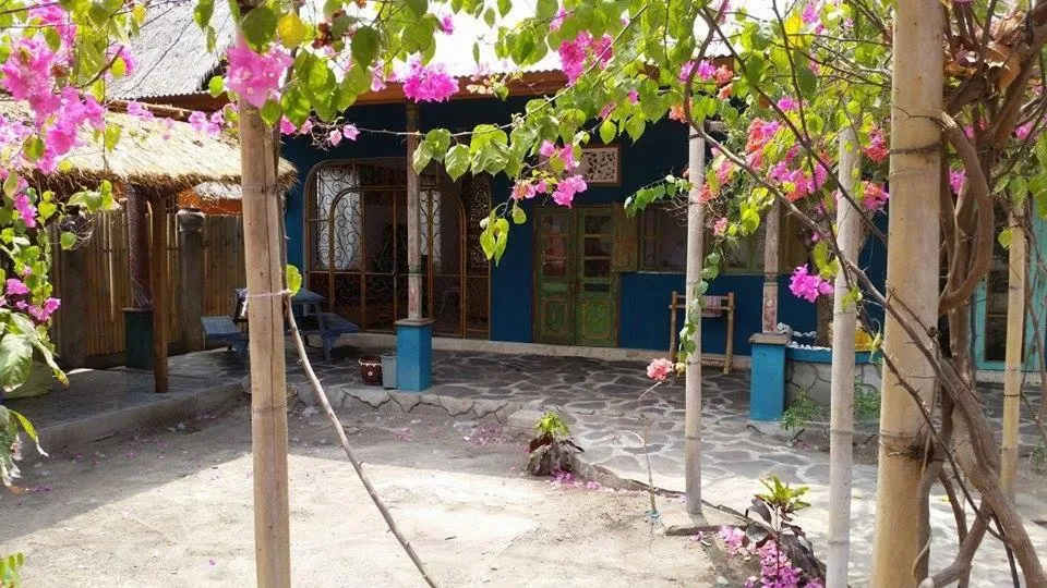 Day in Elephant House and Bungalows Gili Air