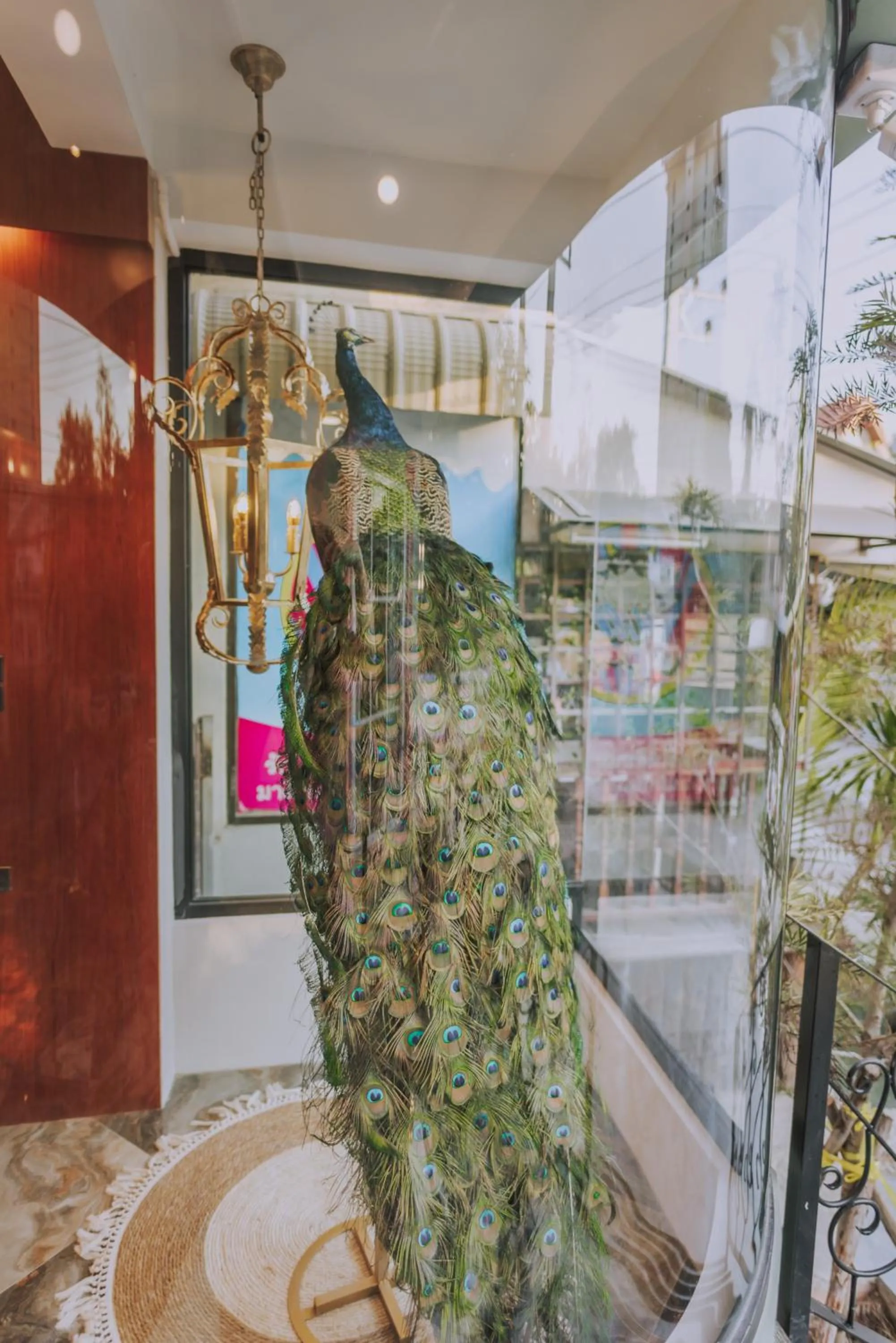 Ma Muan Budget & Boutique Chiang Mai