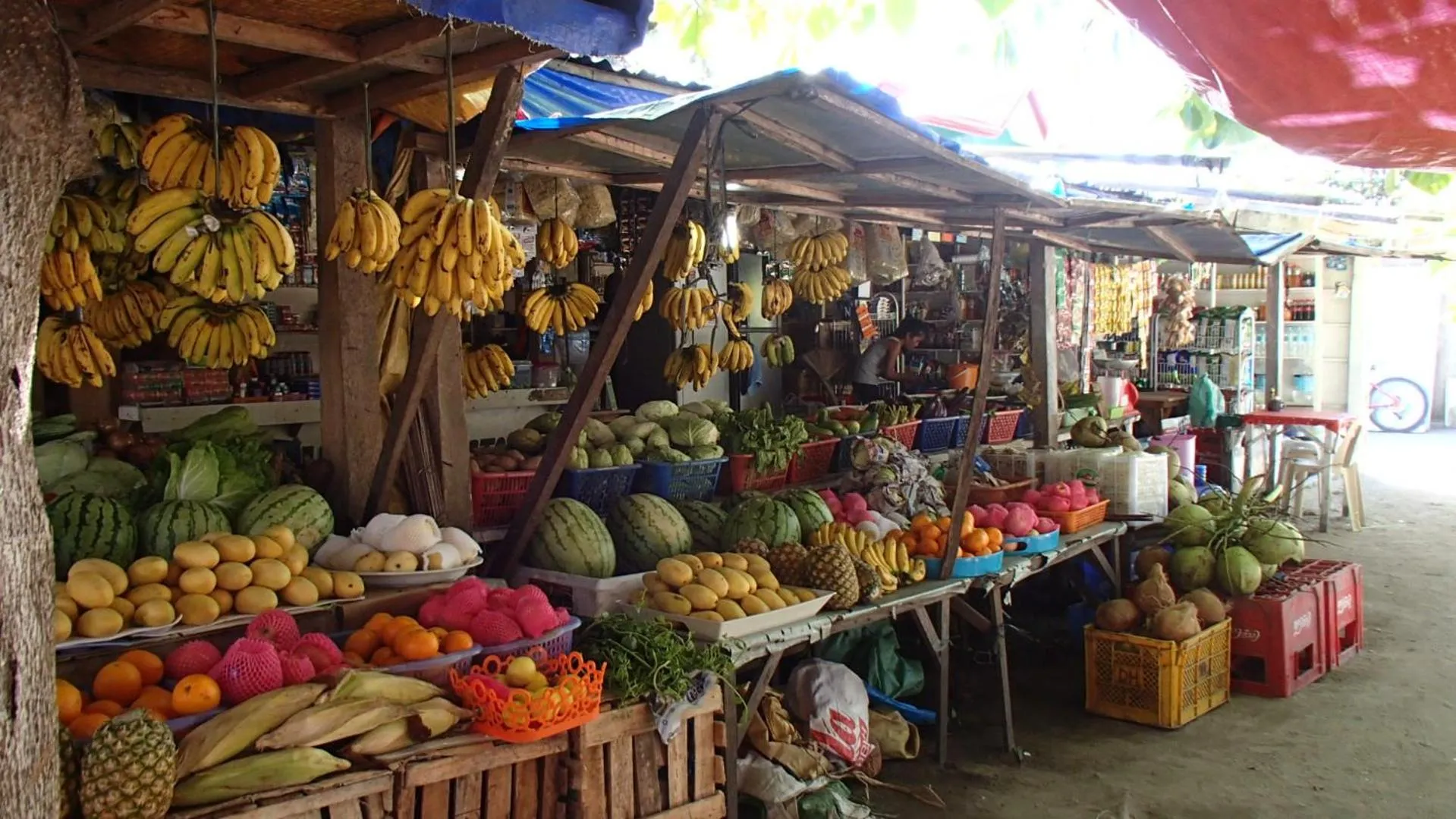 Neighbourhood in Malapascua Starlight Resort