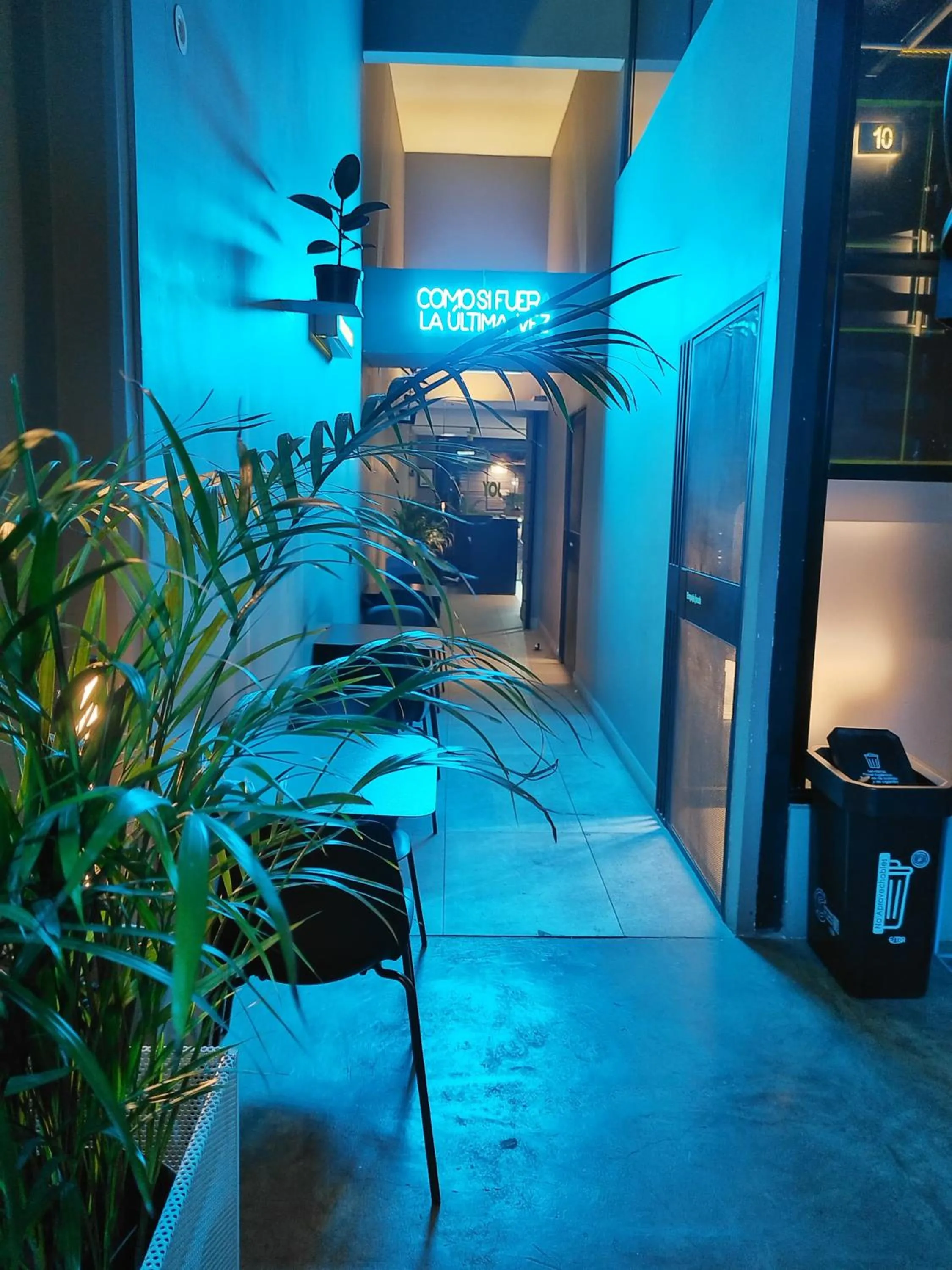 Night in Hostel Joy Calle 85