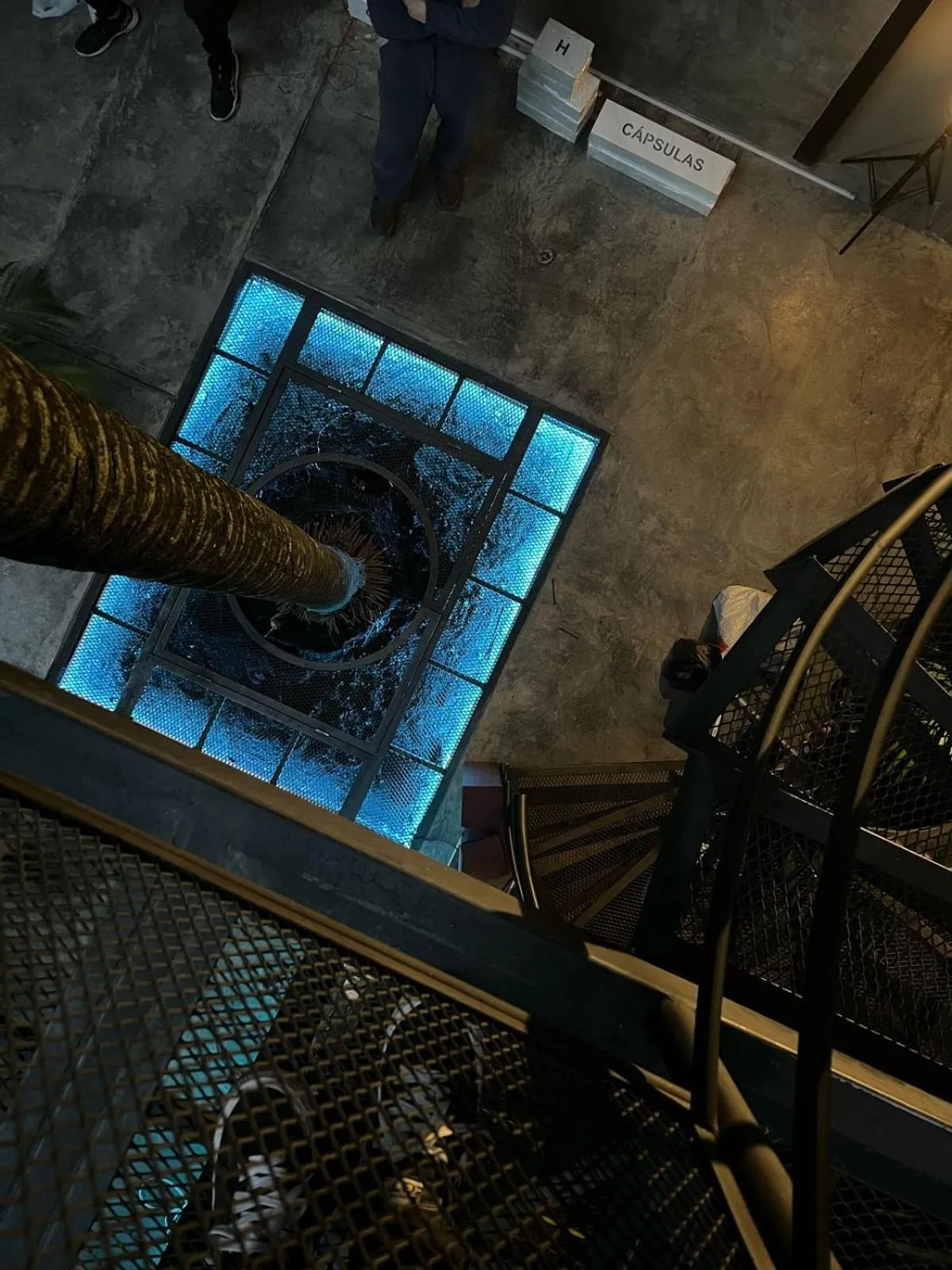 Restaurant/places to eat in Hostel Joy Calle 85