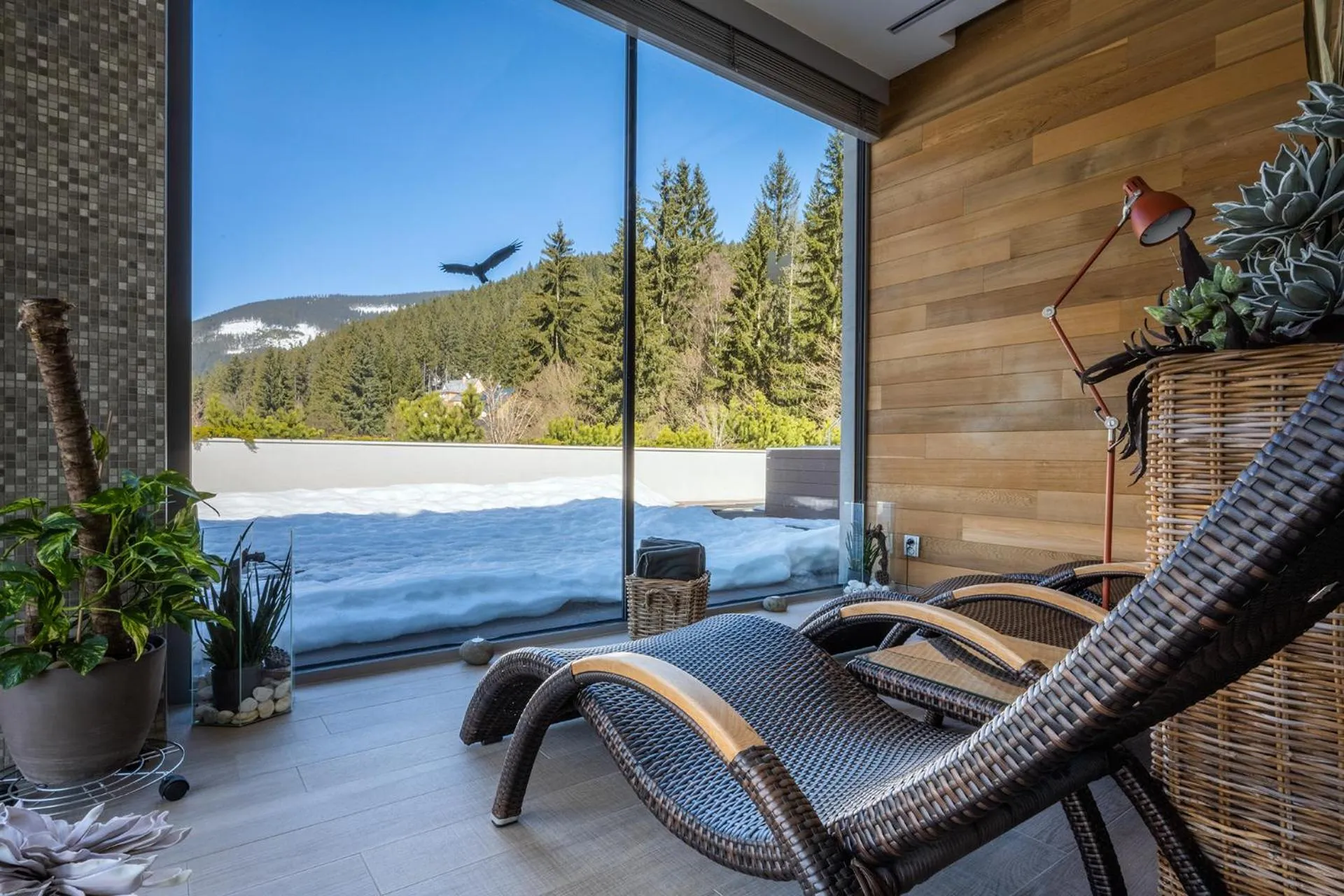 Spa and wellness centre/facilities in HOTEL PECR WELL