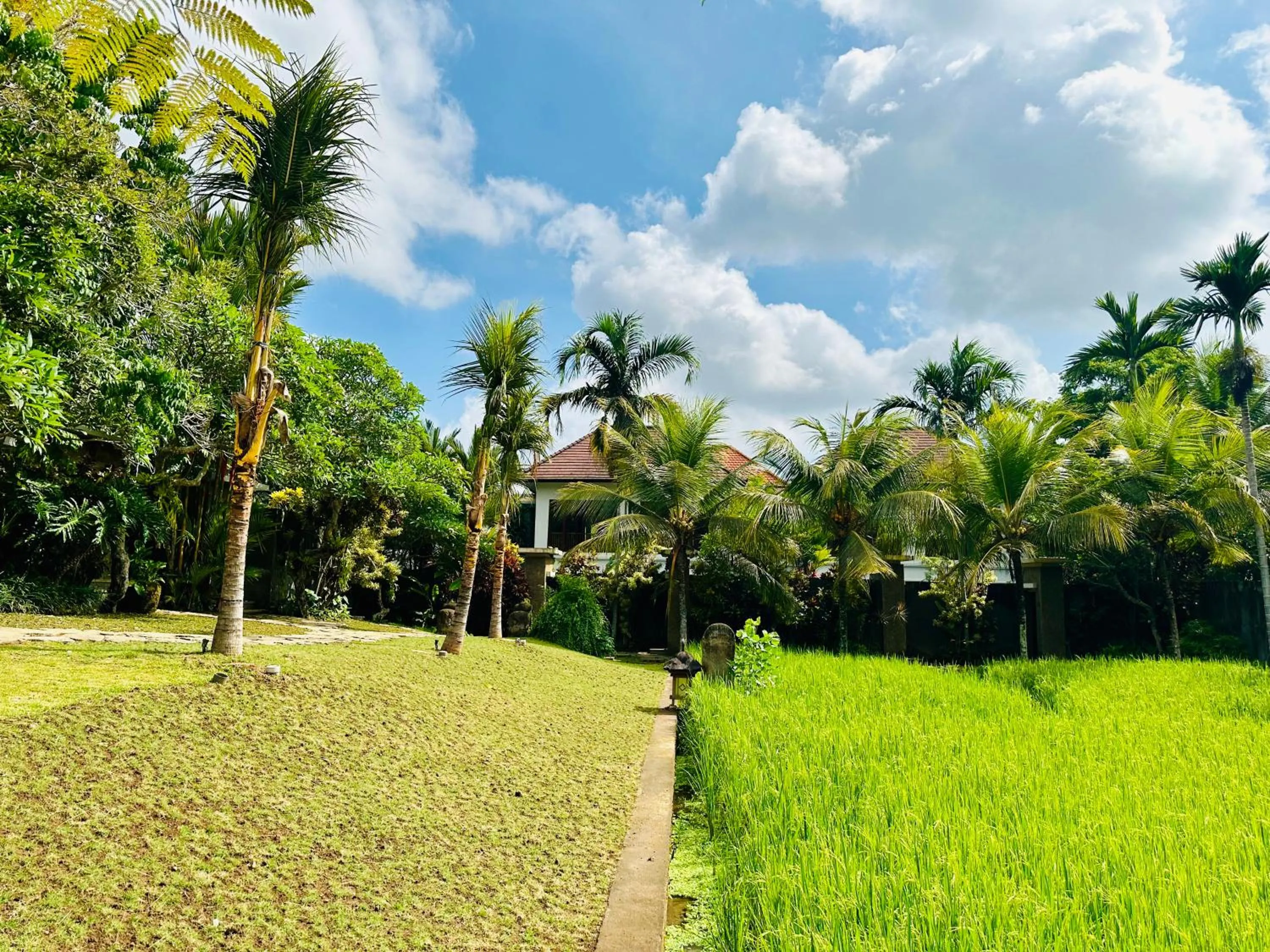 Natural landscape in Wana Karsa The Villas Ubud