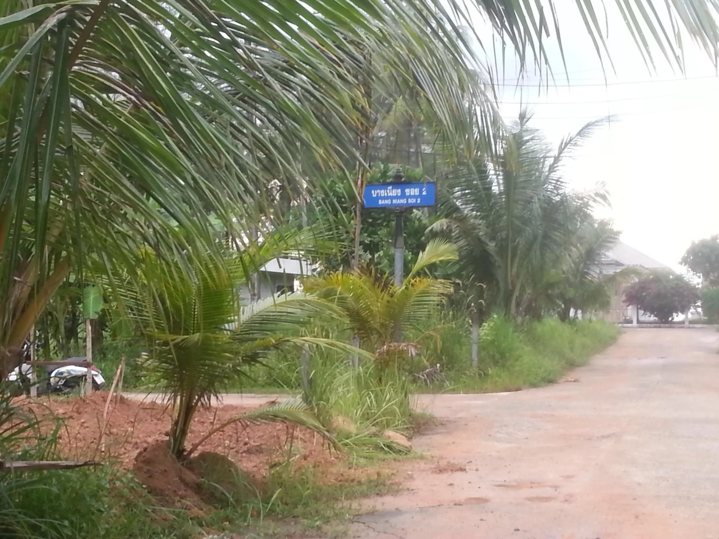 Area and facilities in Black Coffee Village