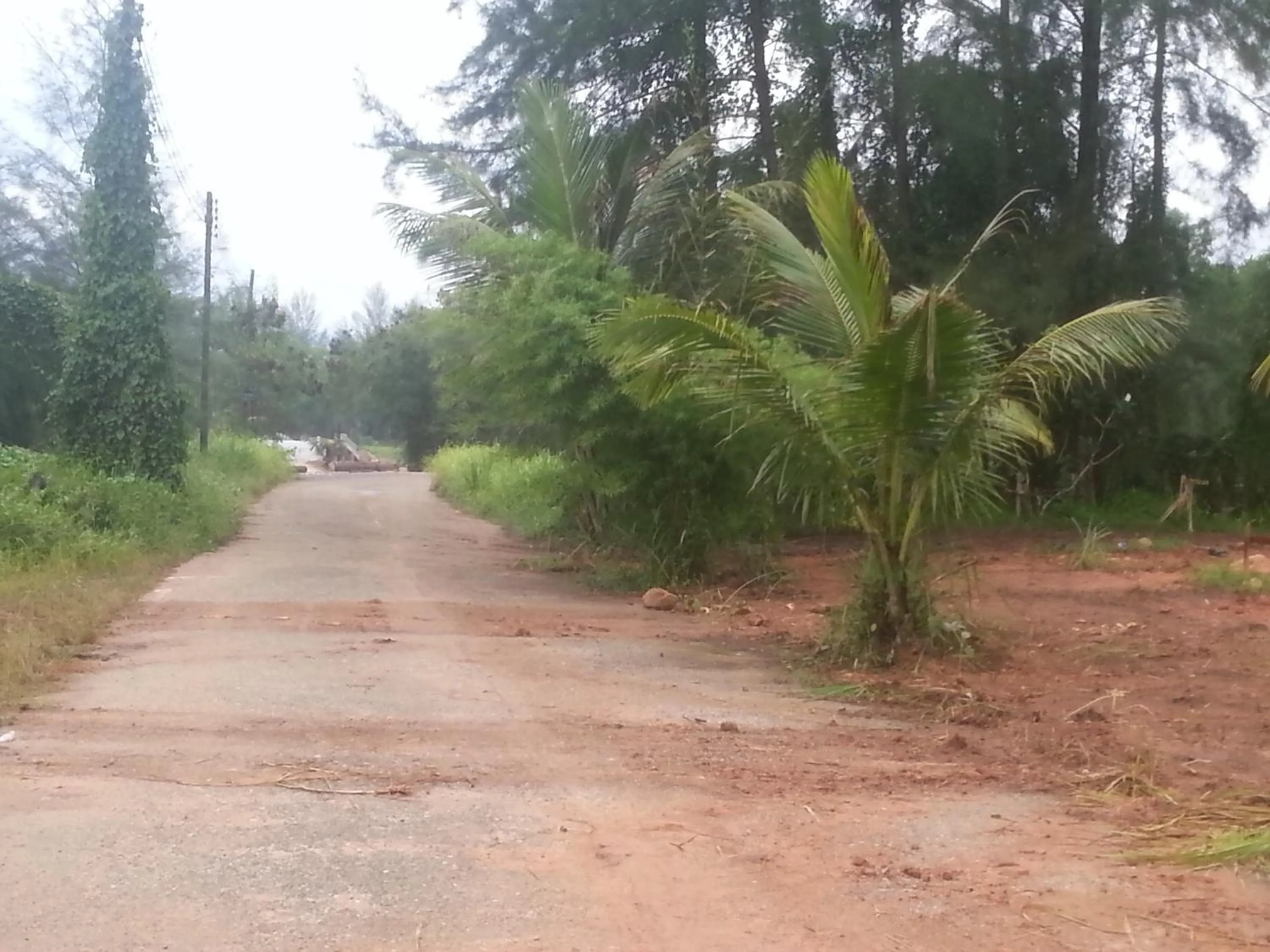 Area and facilities in Black Coffee Village