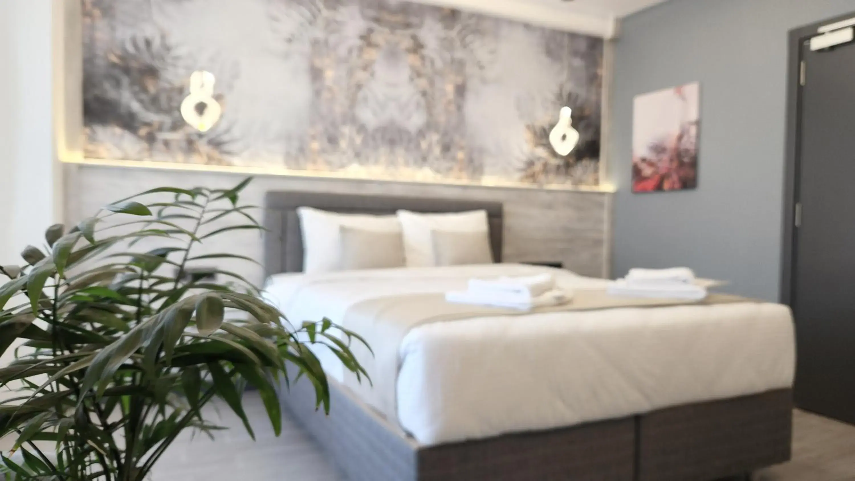 Large Double Room in Blue Moonrise Hotel Large Double Room in Blue Moonrise Hotel