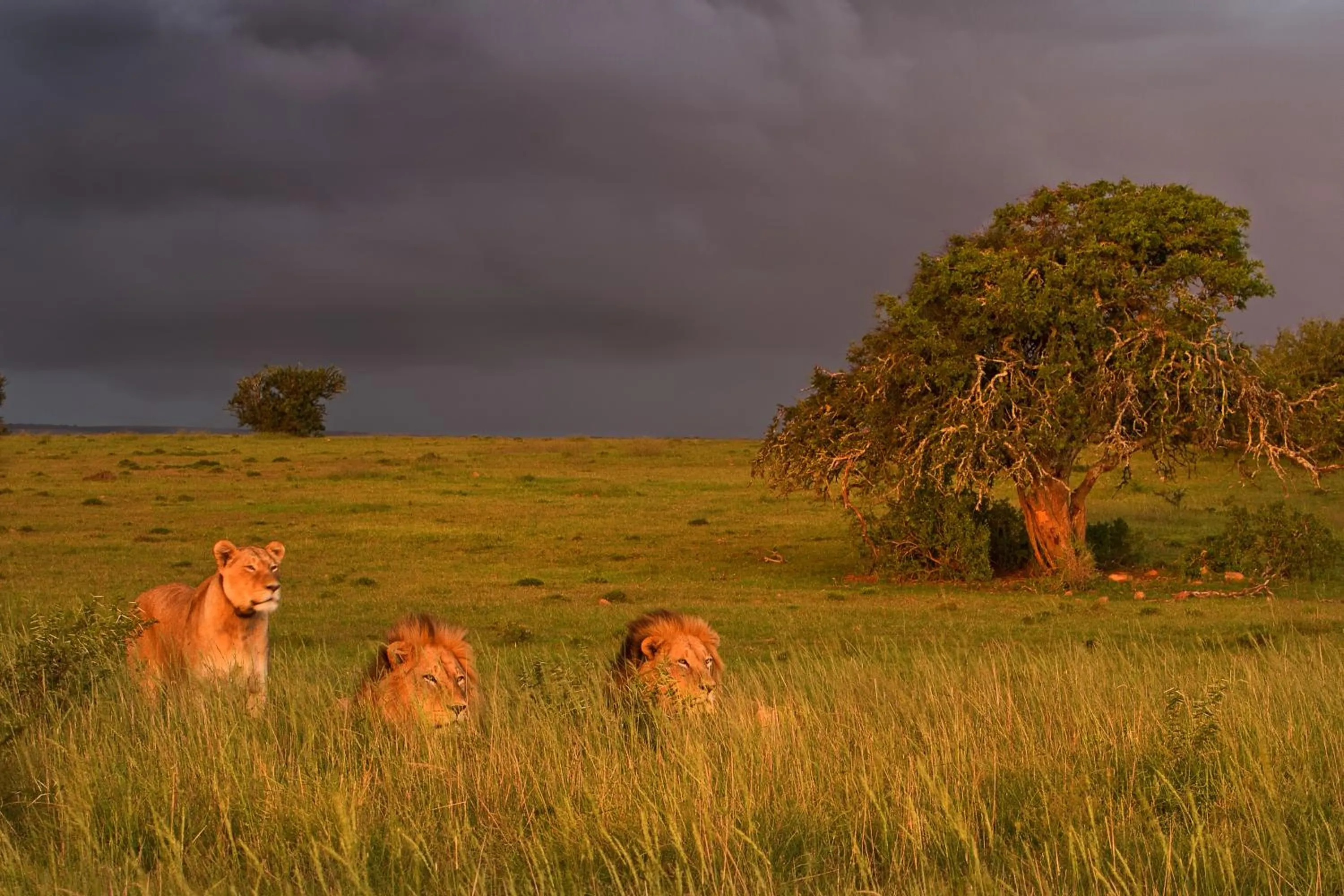 Natural landscape in RiverBend Lodge