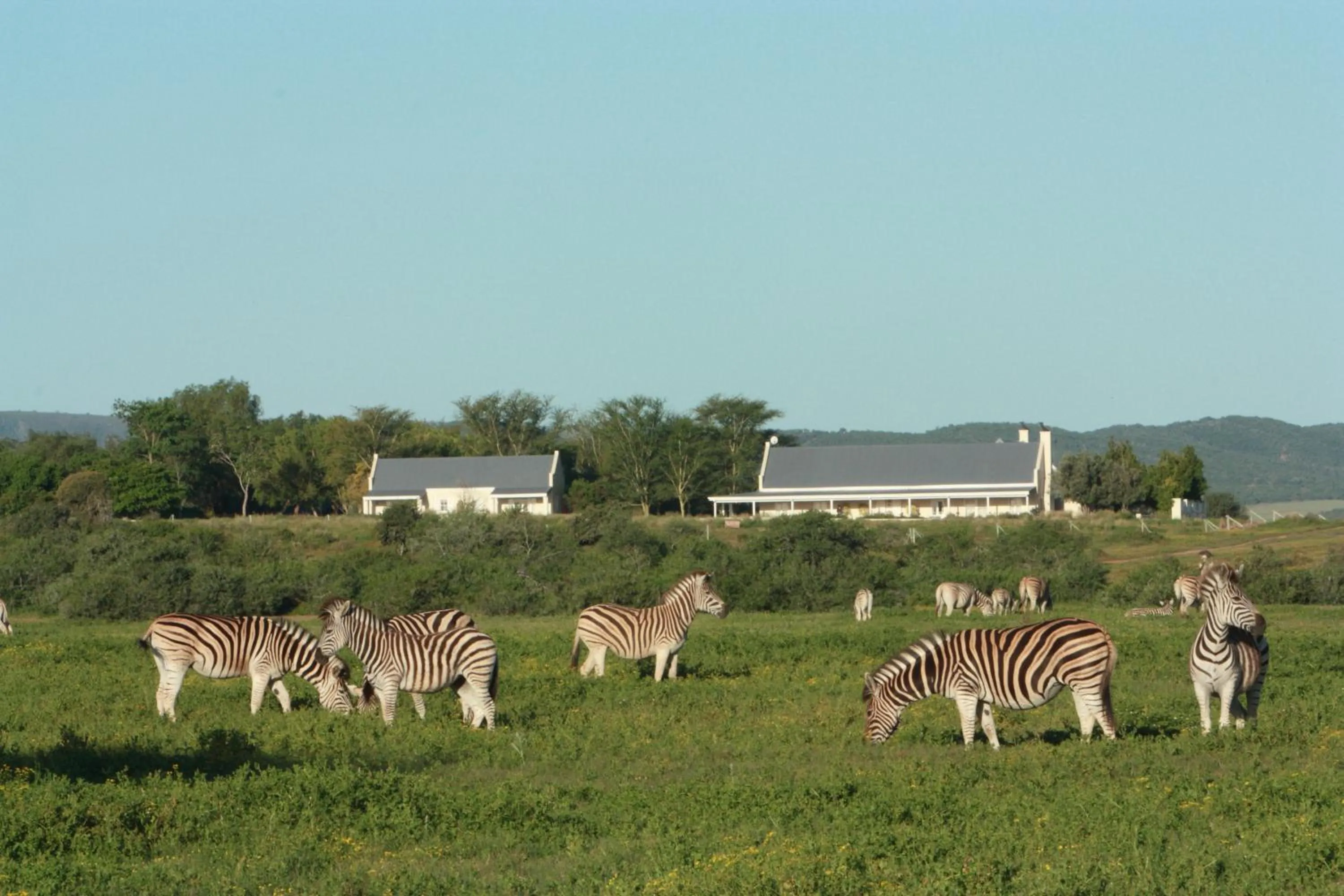 Property building in RiverBend Lodge