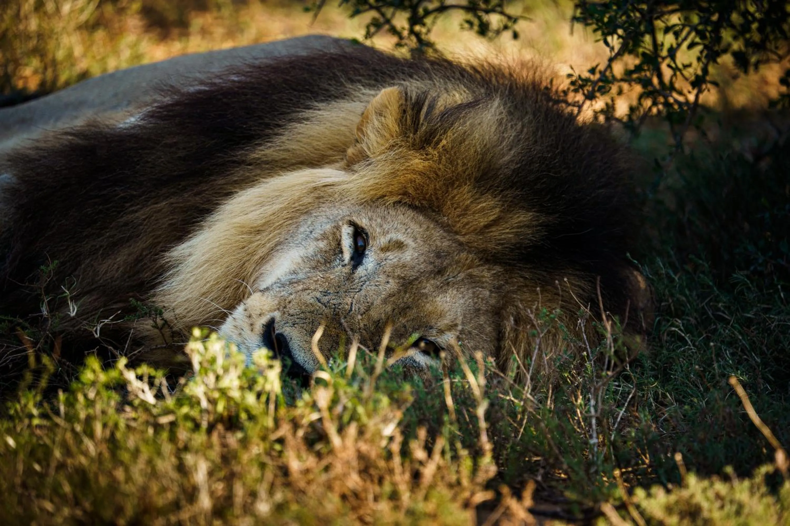 Day in RiverBend Lodge