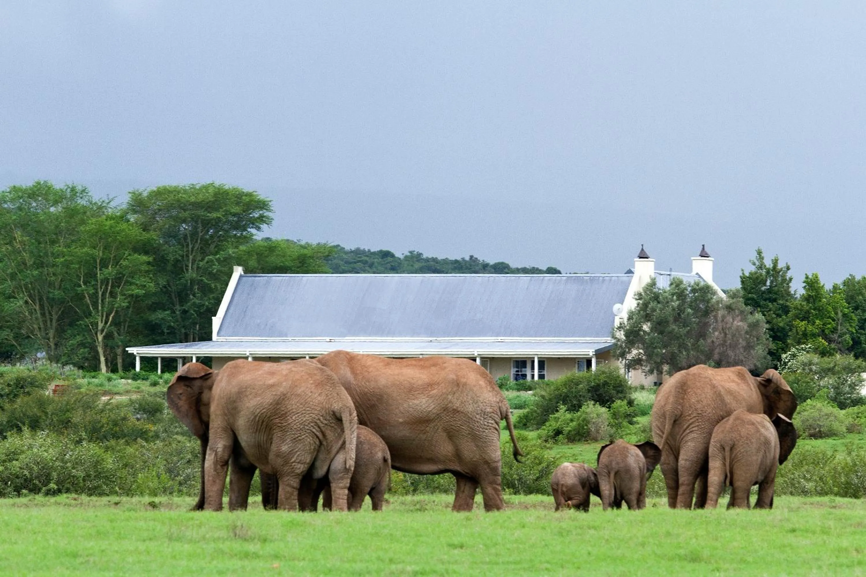 Property building in RiverBend Lodge