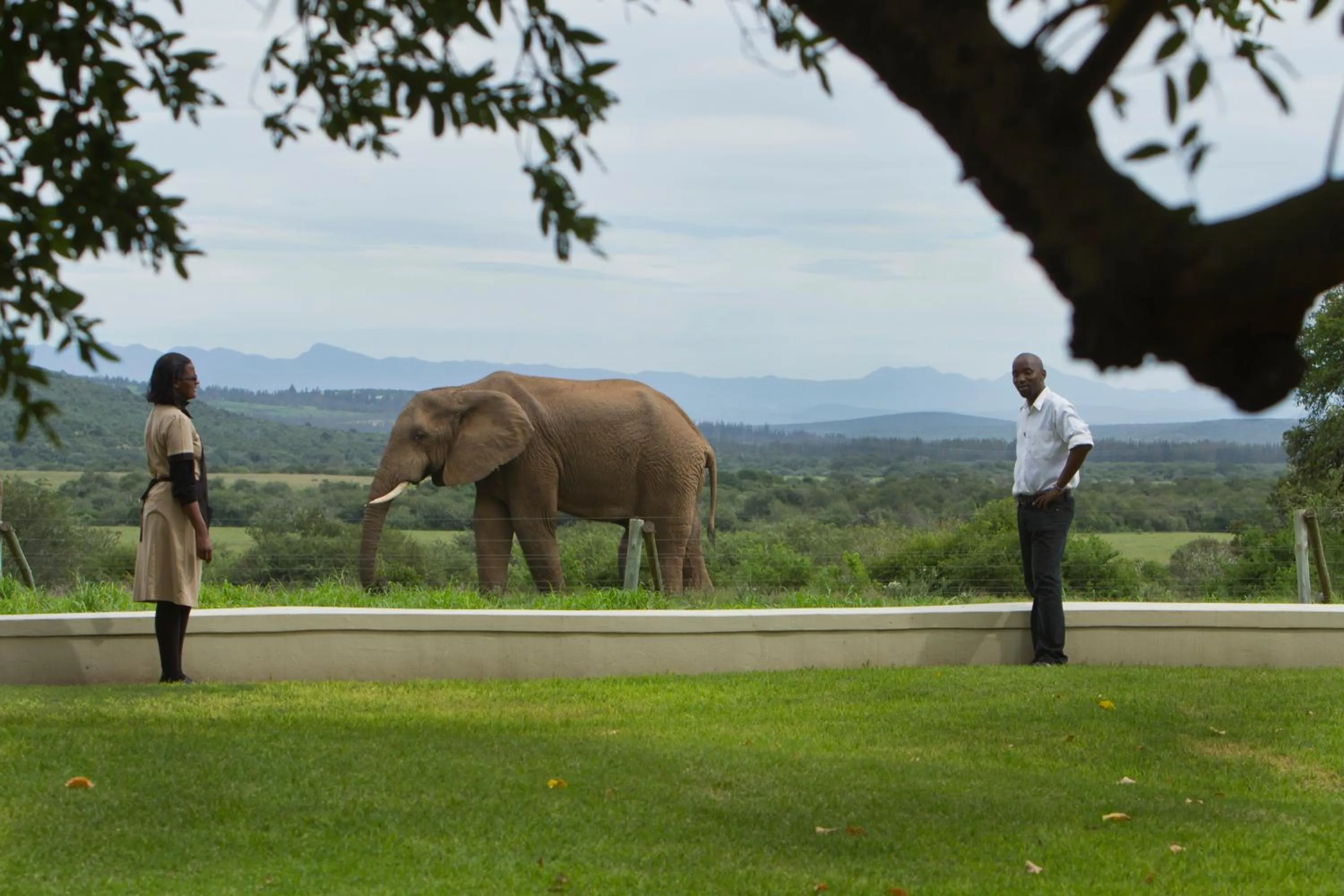 Natural landscape in RiverBend Lodge