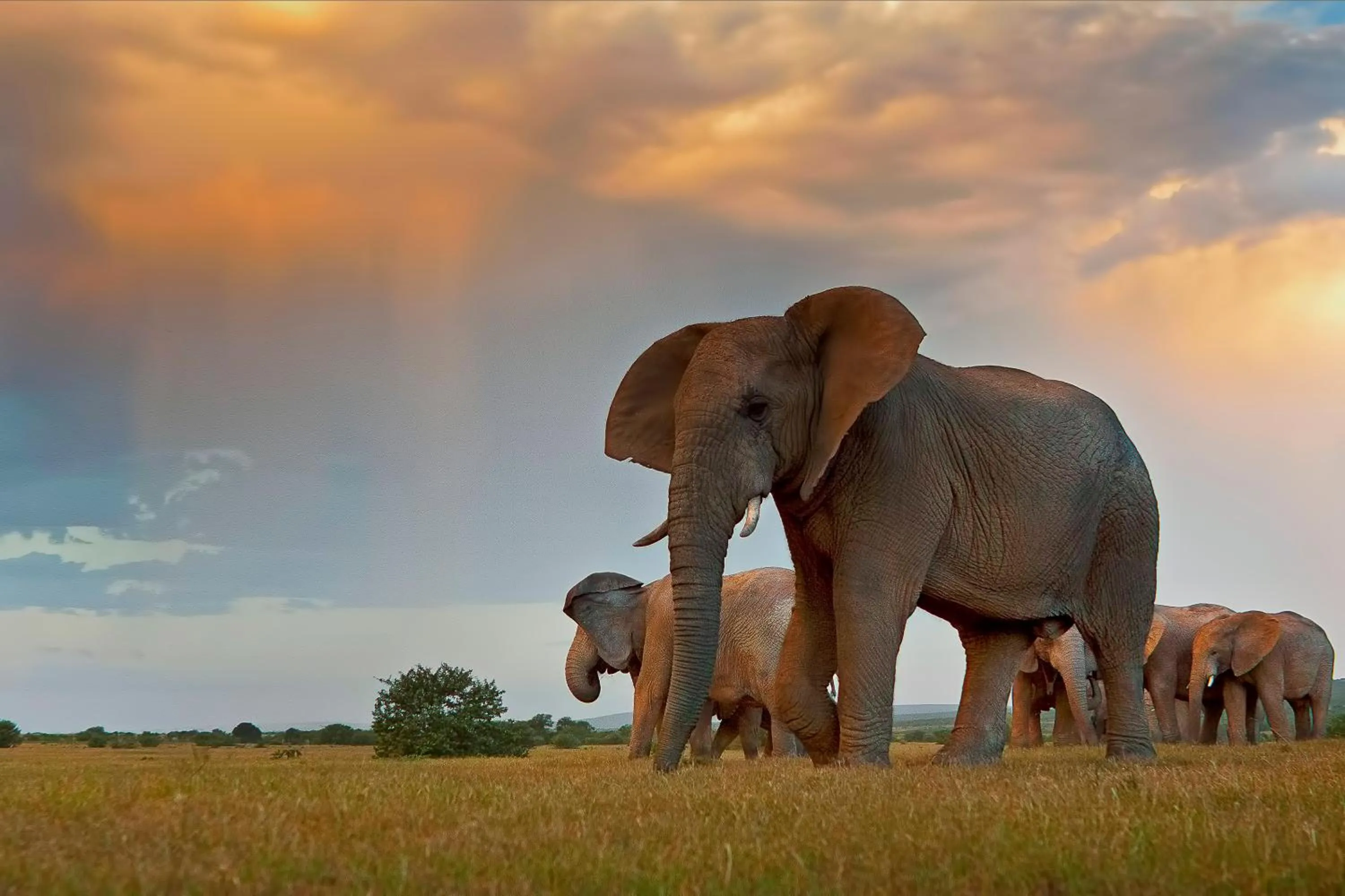 Natural landscape in RiverBend Lodge