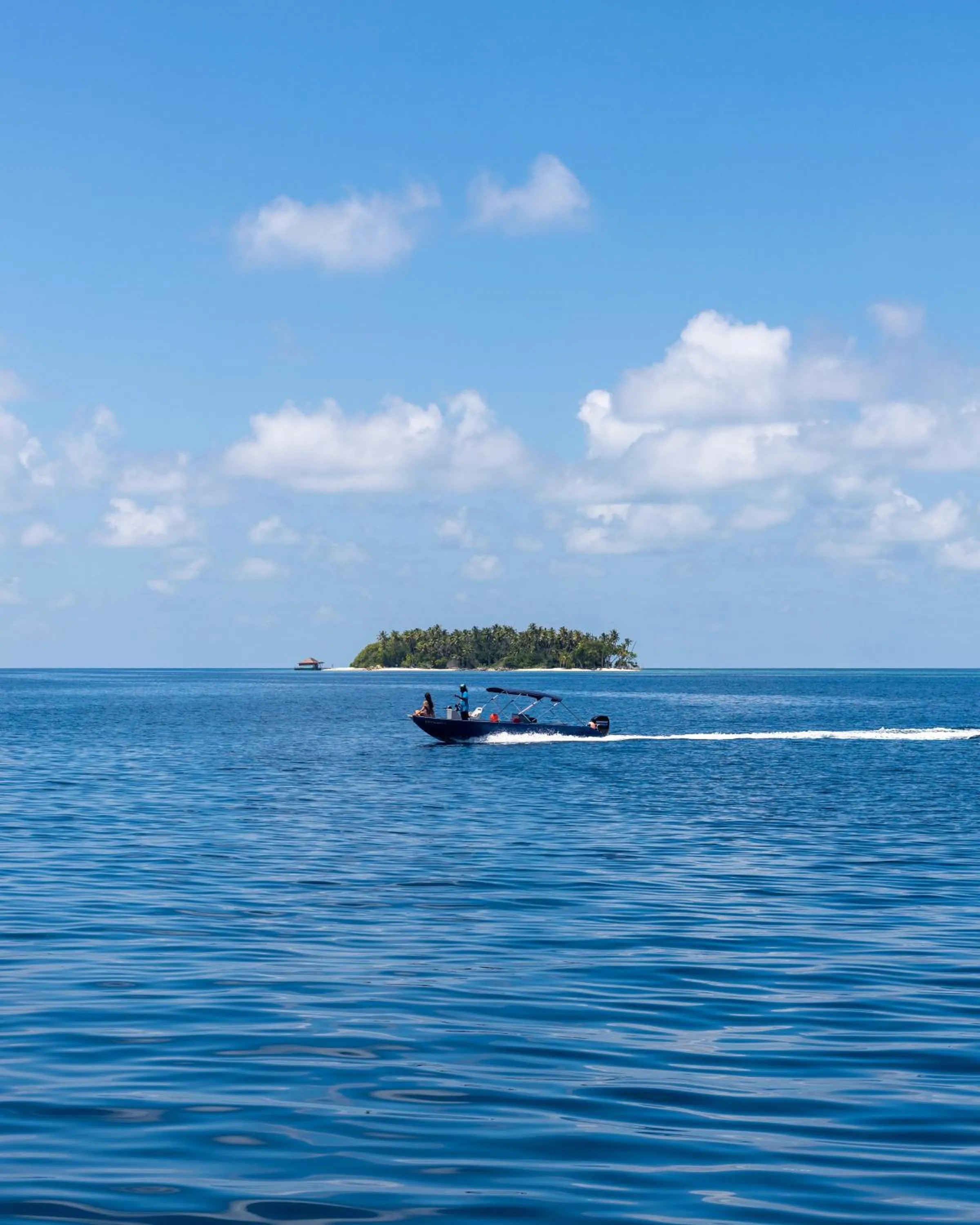 Day in Plumeria Maldives