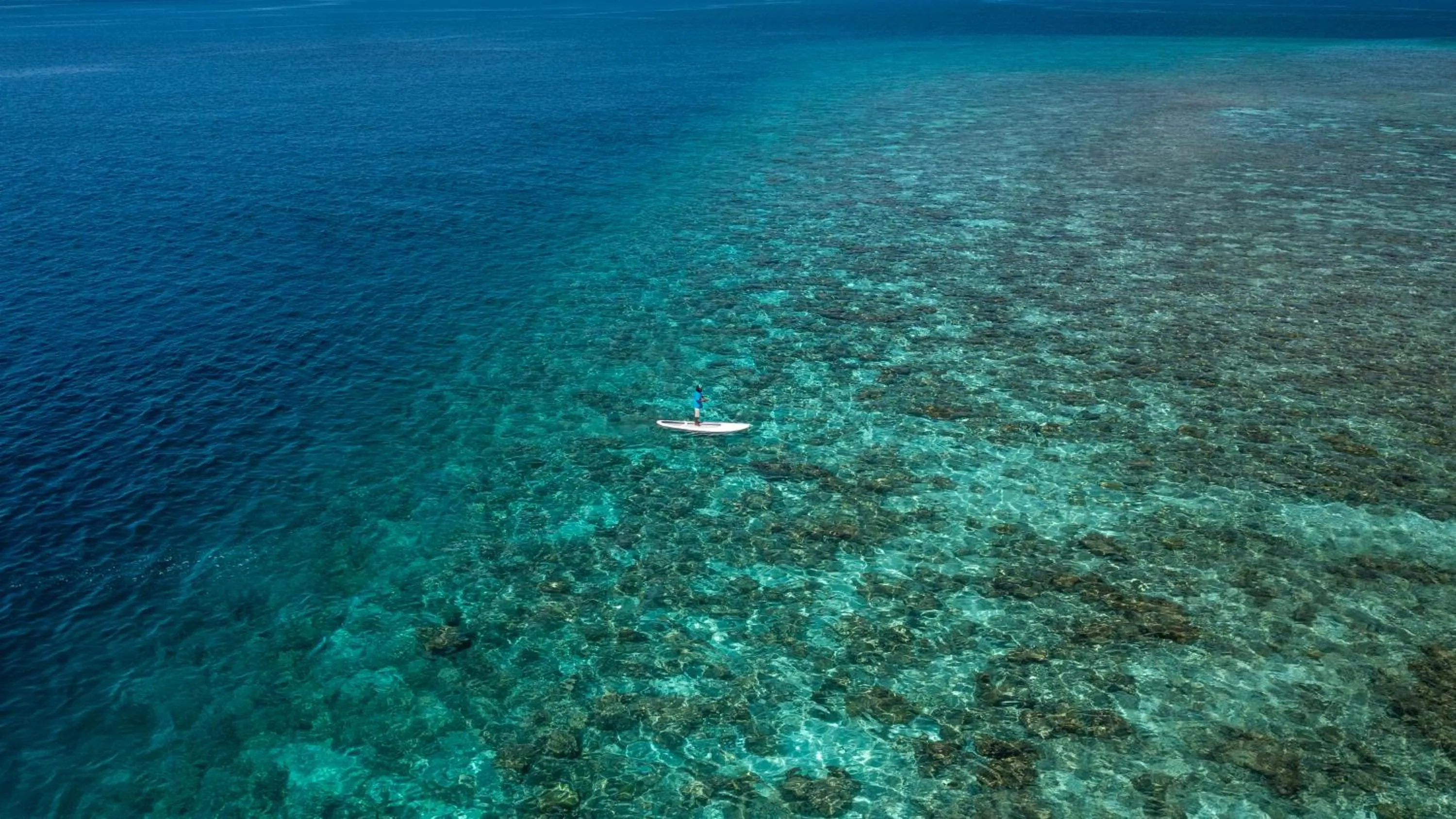People in Plumeria Maldives