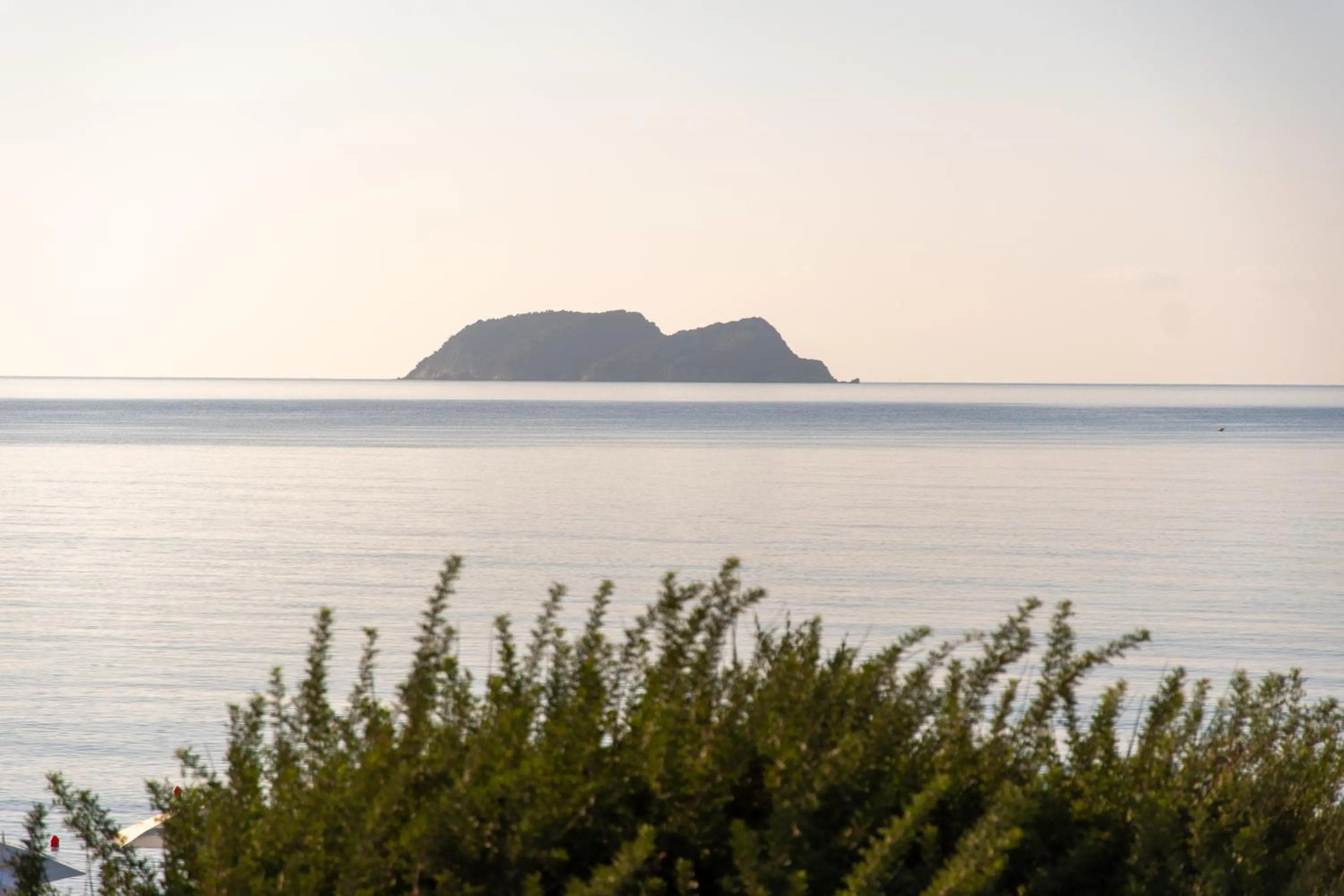 Natural landscape in Zante Atlantis Hotel