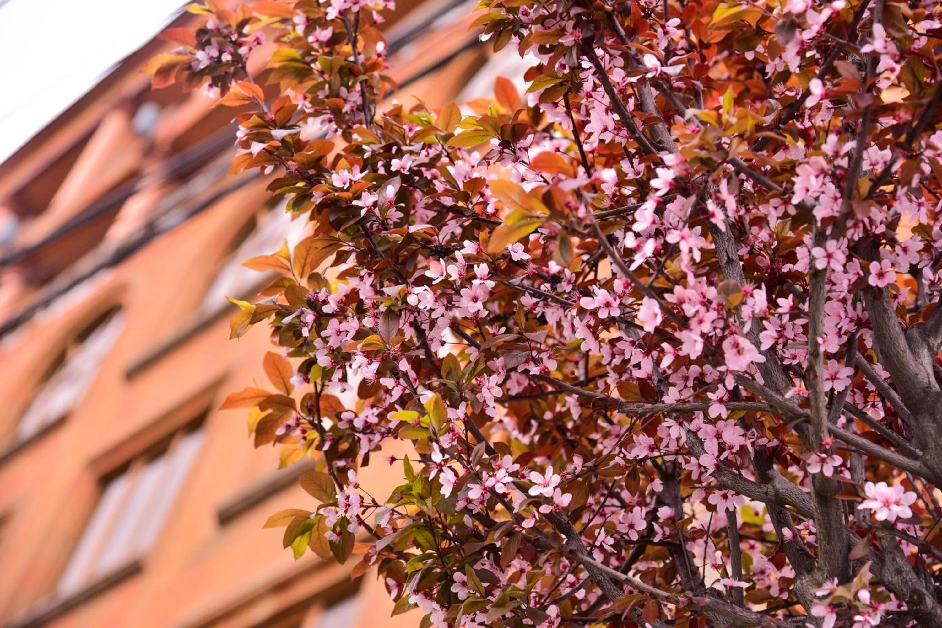 Property building in METROPOL HOTEL Yerevan