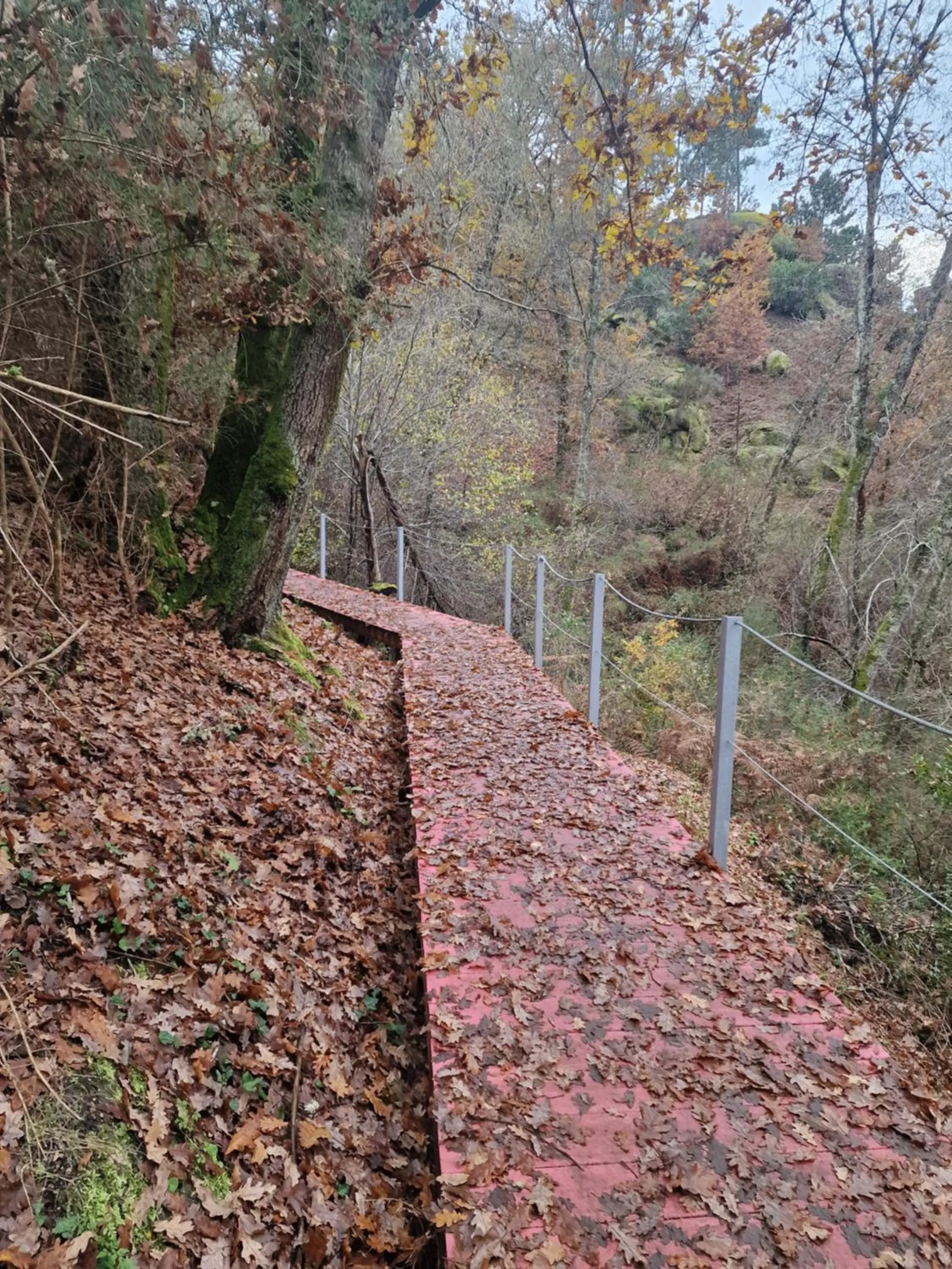 Spring in Palace Hotel de Midões