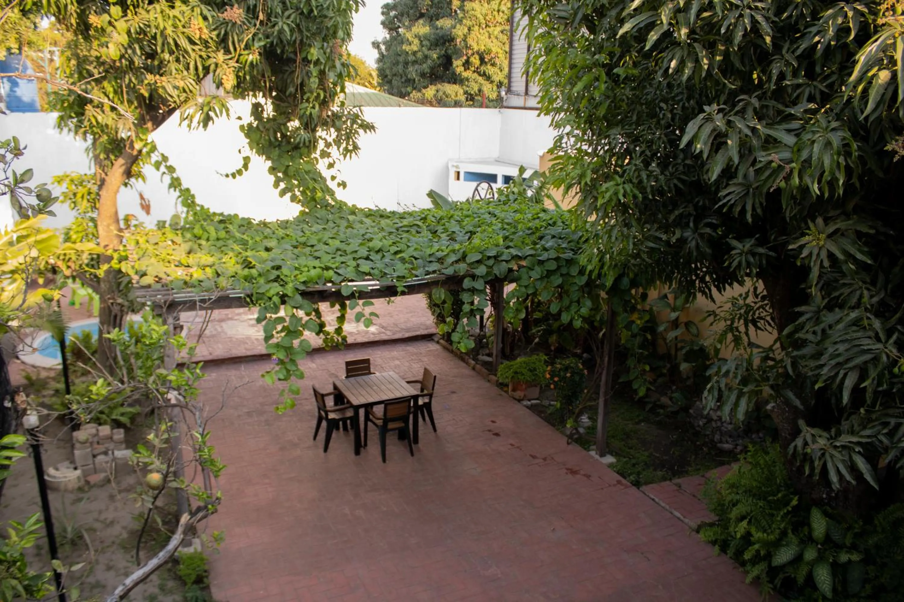 Garden in Volcano Hostal y Restaurante
