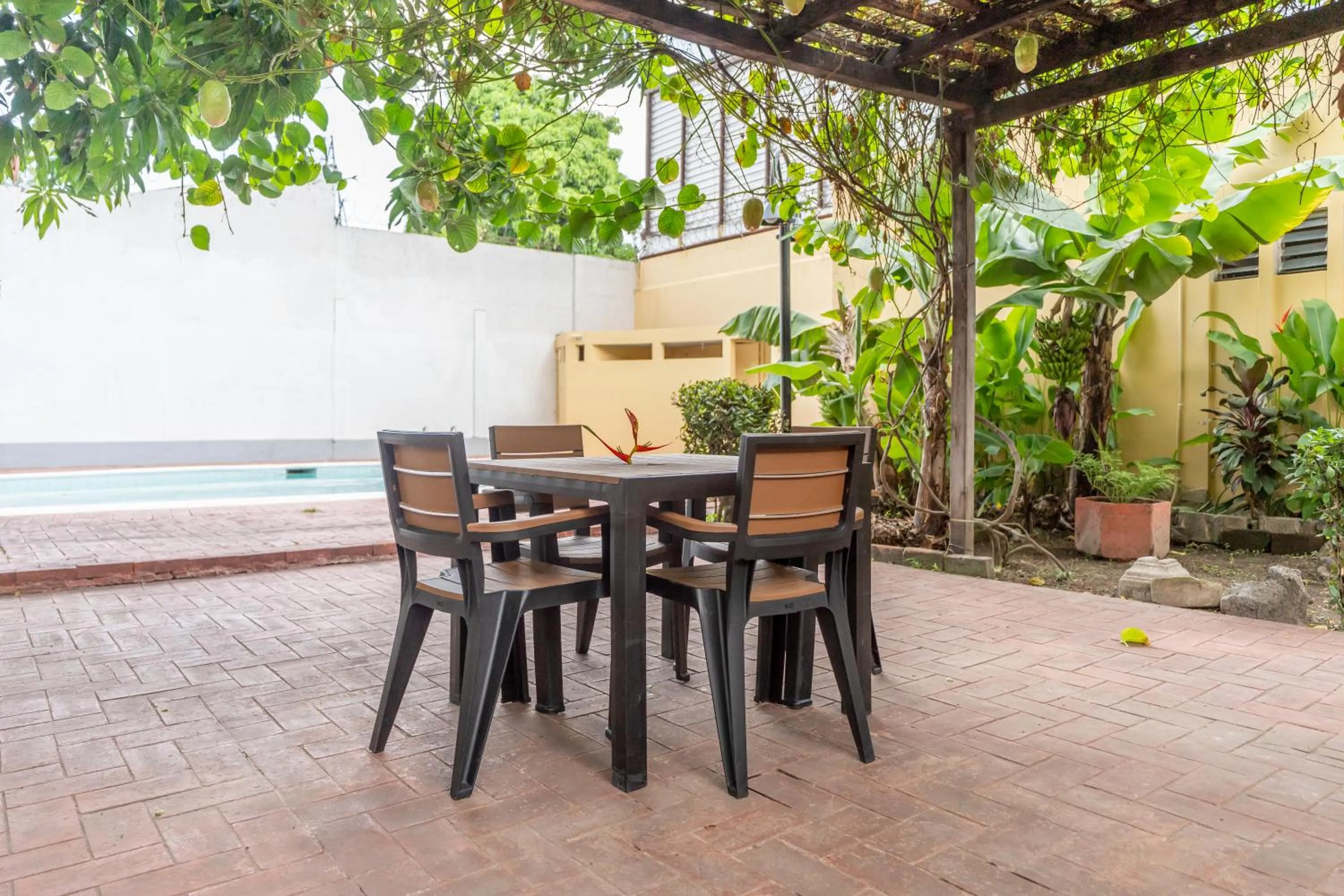 Patio in Volcano Hostal y Restaurante