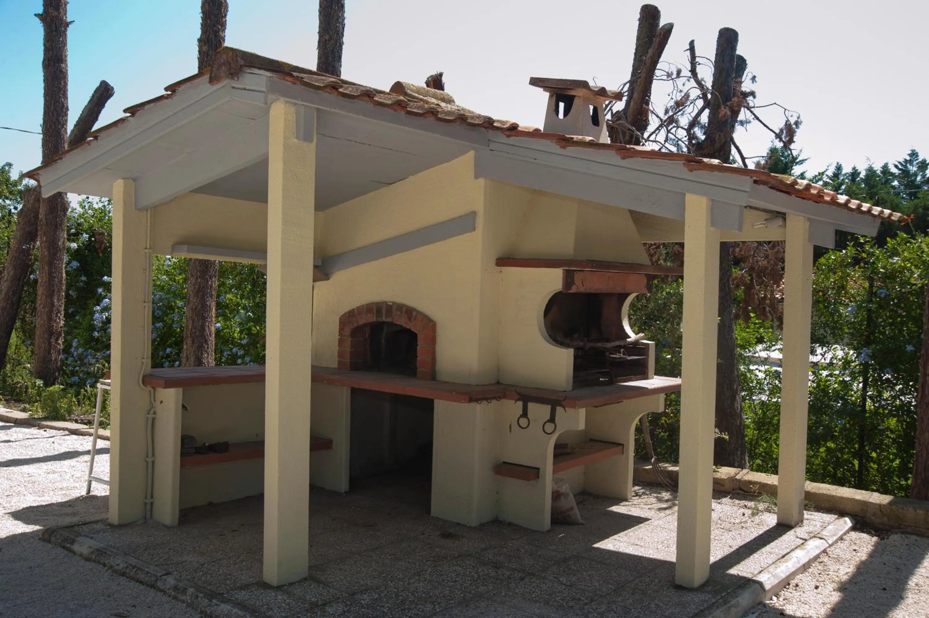 Day in Domus in Viridi