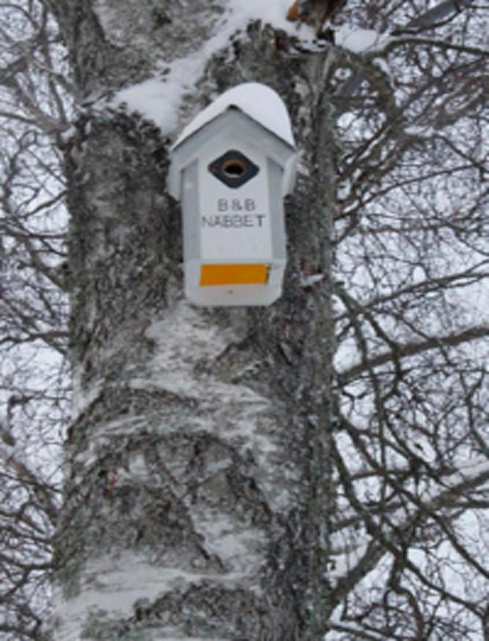 Logo/Certificate/Sign in Hotell Zlafen Bed and Breakfast