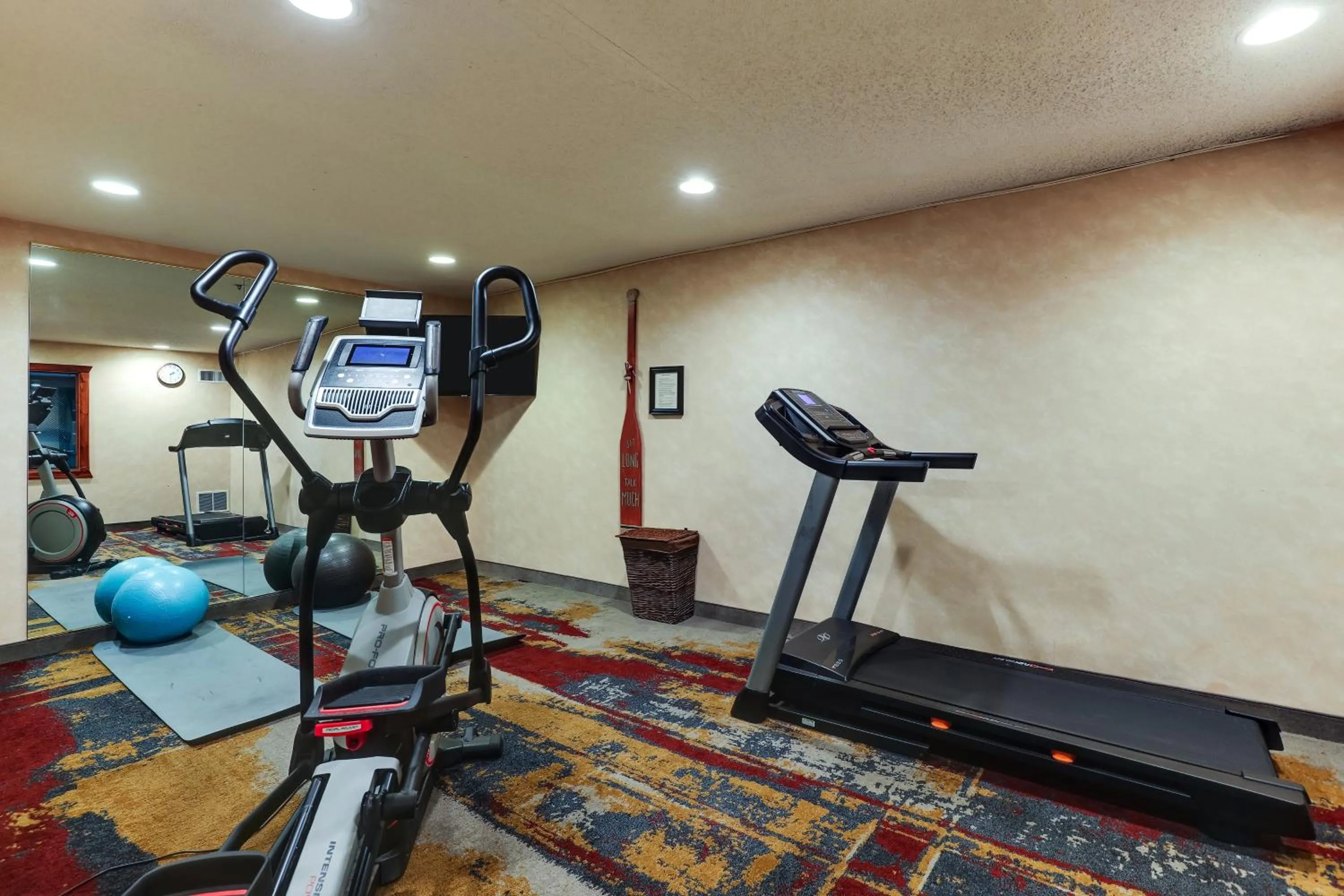 Fitness centre/facilities in Stoney Creek lnn Galena