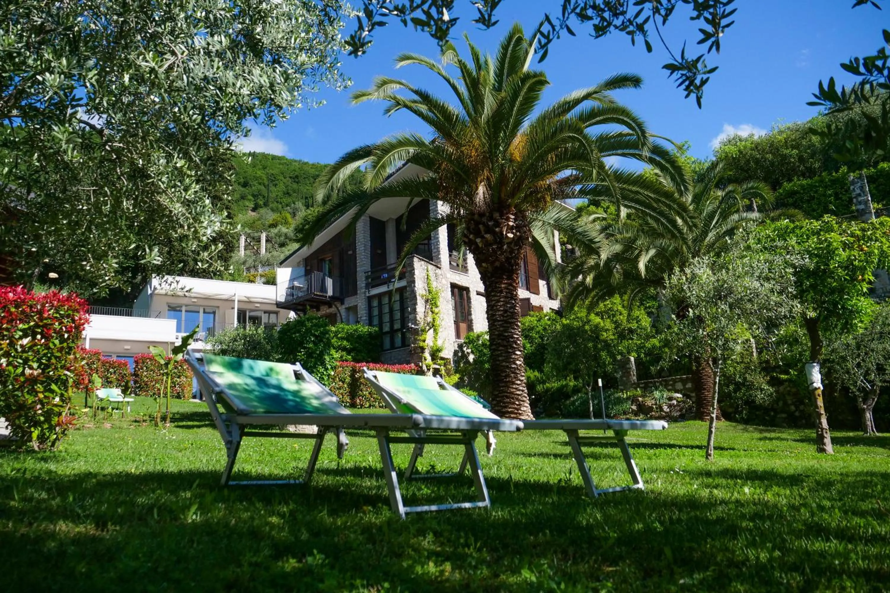 Garden in Hotel Livia