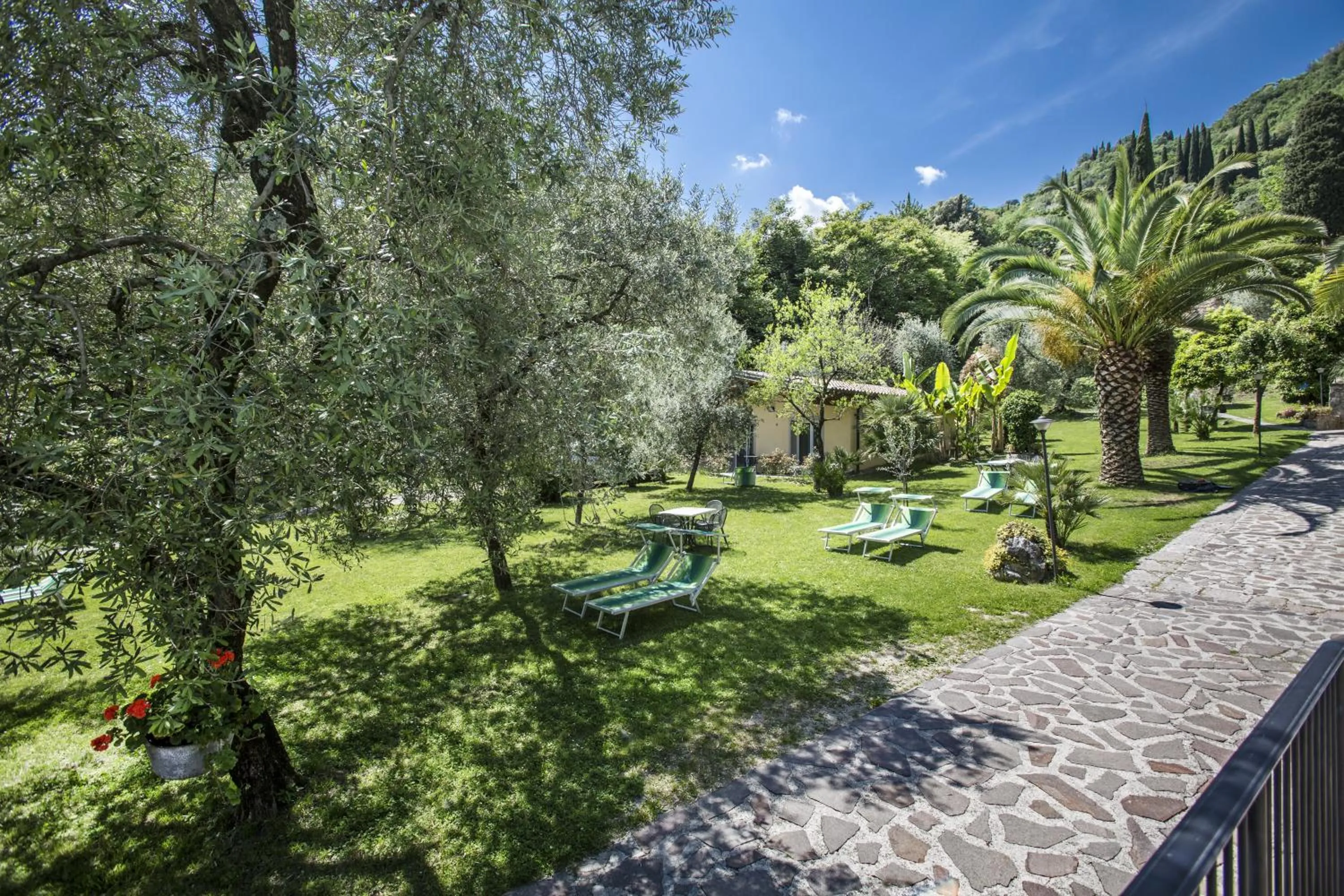 Garden in Hotel Livia