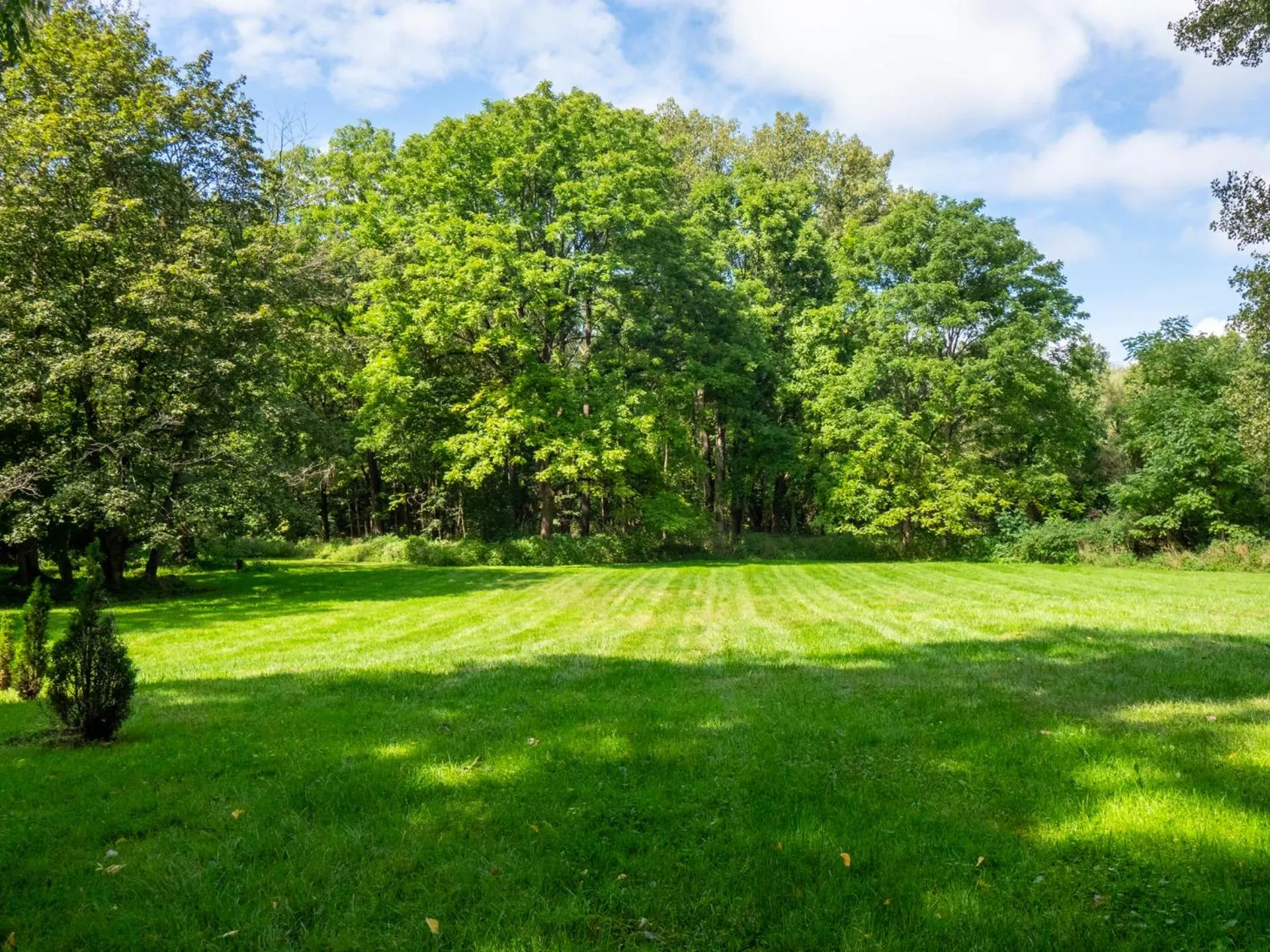Garden in The Brooks Motel