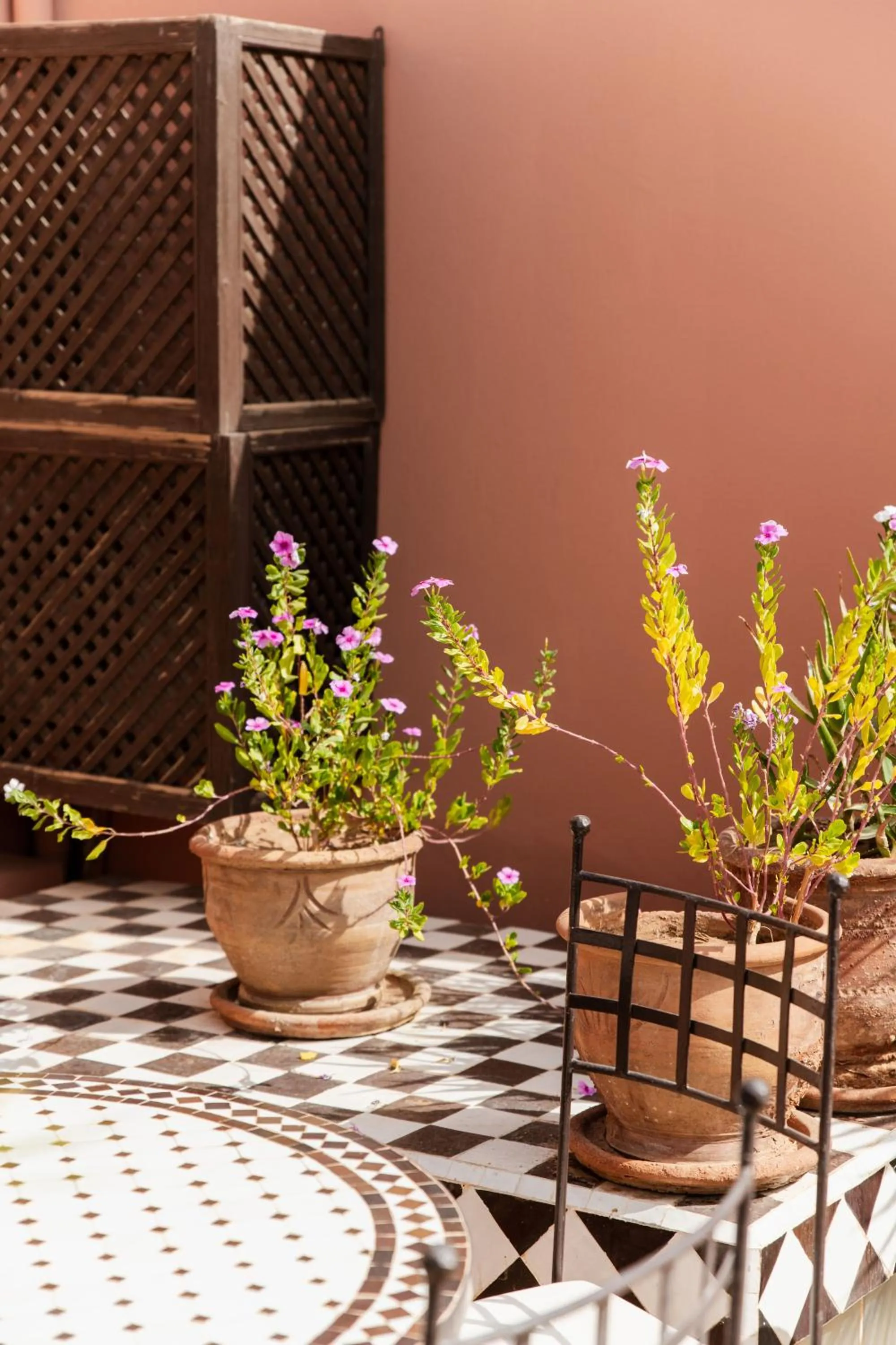 Balcony/Terrace in Riad of the Moon
