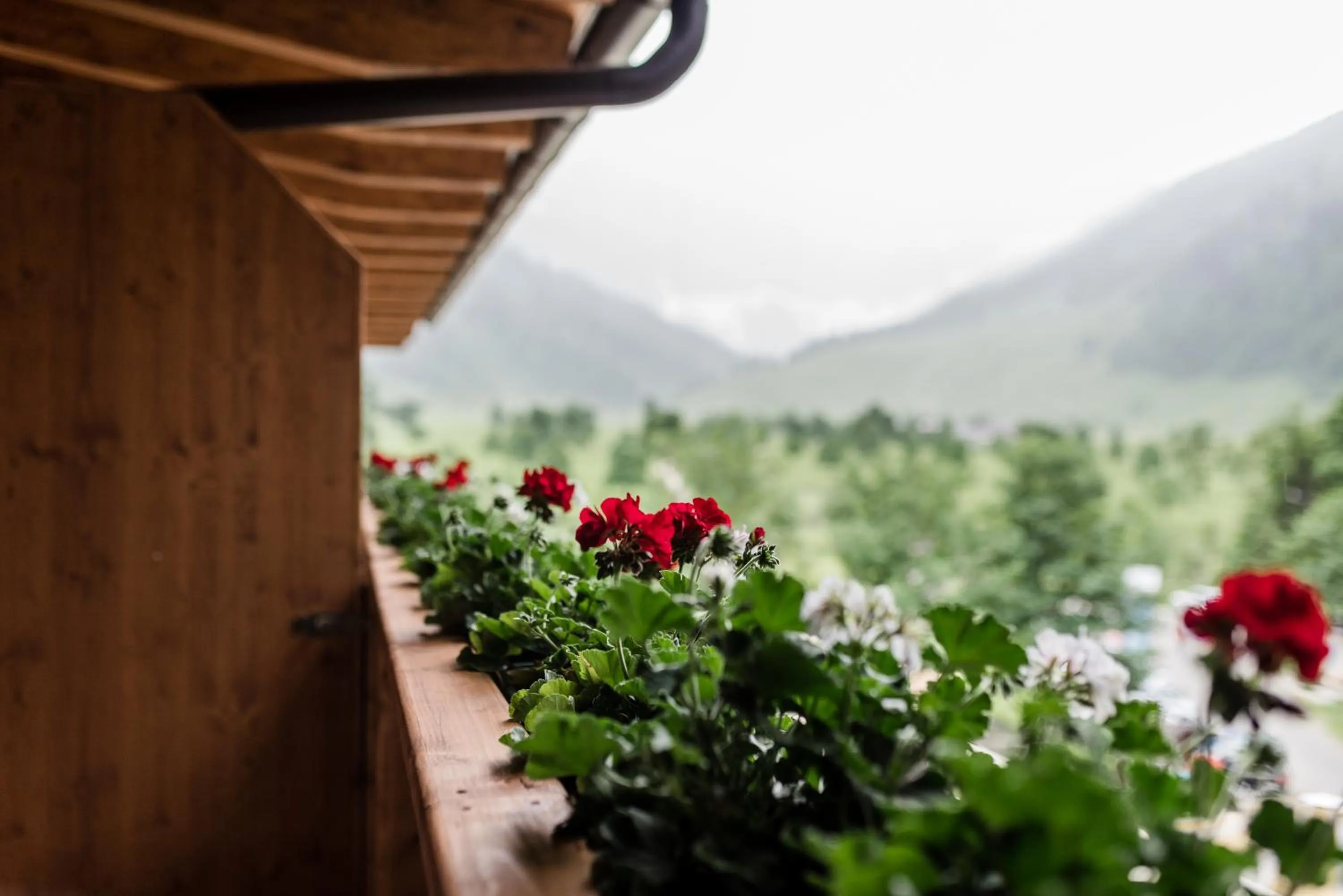 Balcony/Terrace in Das Naturhotel die Eng