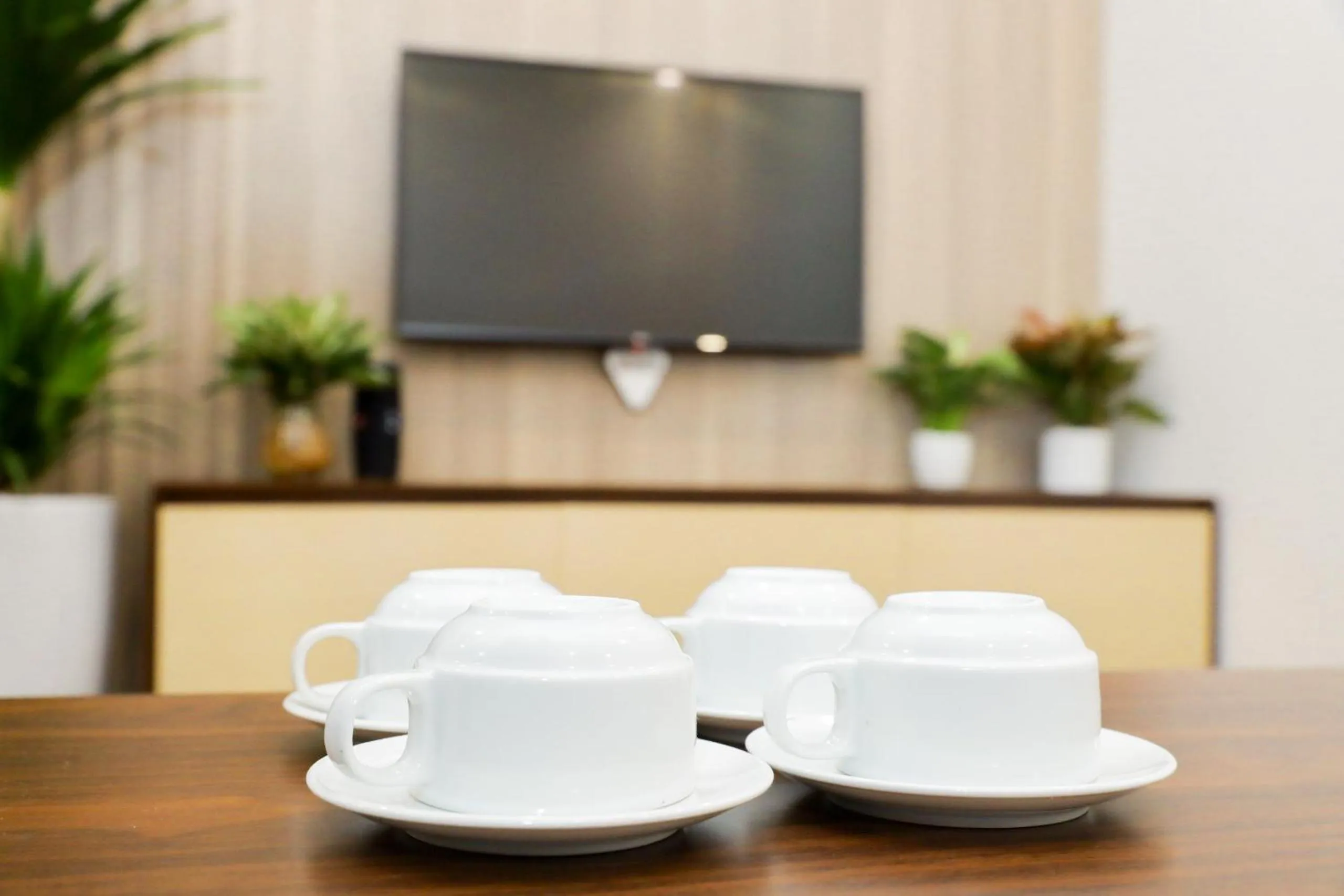 TV and multimedia in Wins Apartment