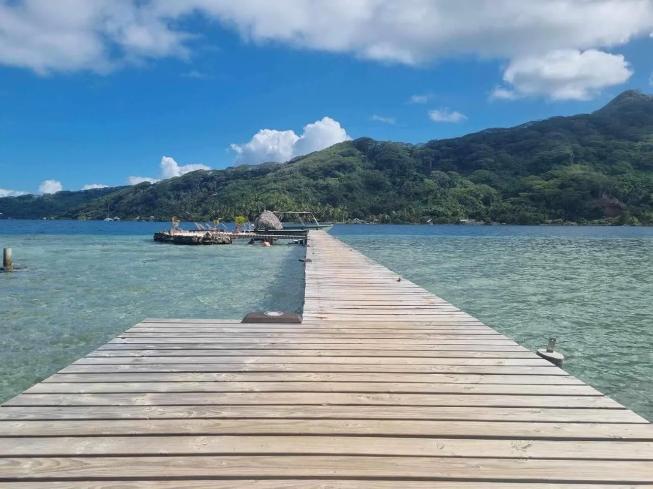 Balcony/Terrace in Pension Hibiscus Taha'a