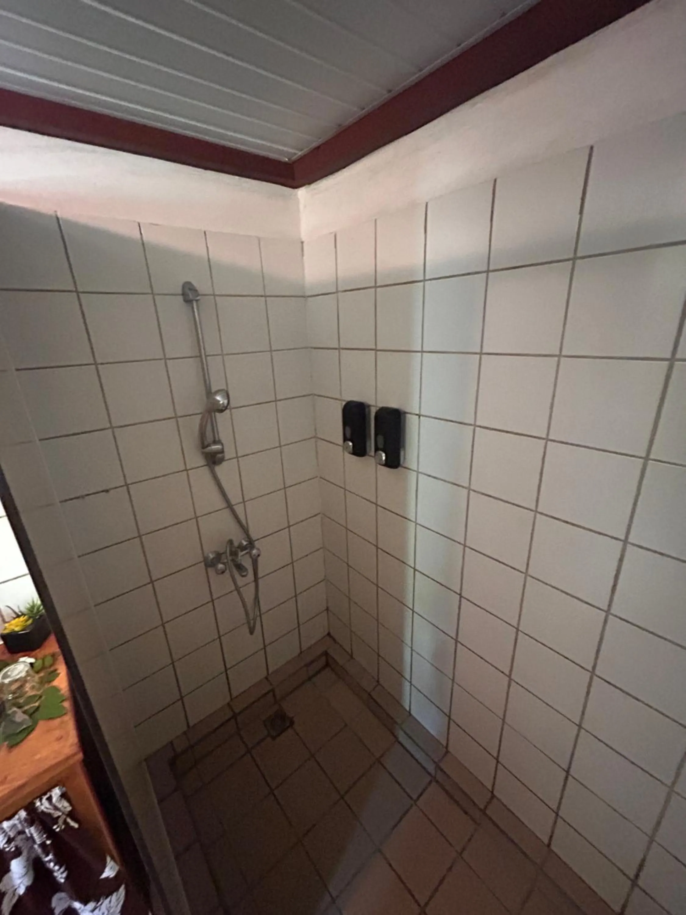 Shower in Pension Hibiscus Taha'a