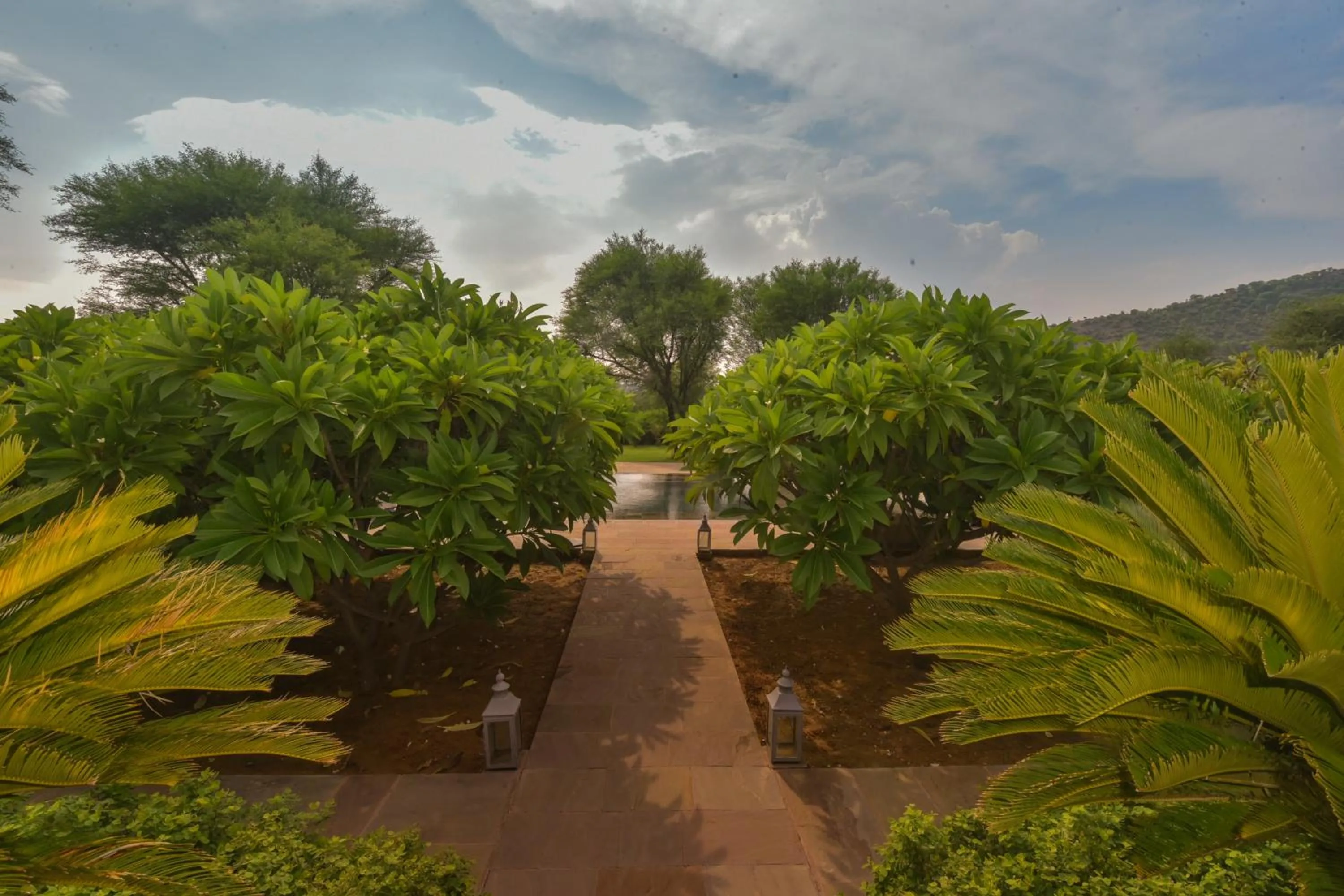 Natural landscape in Anopura Jaipur