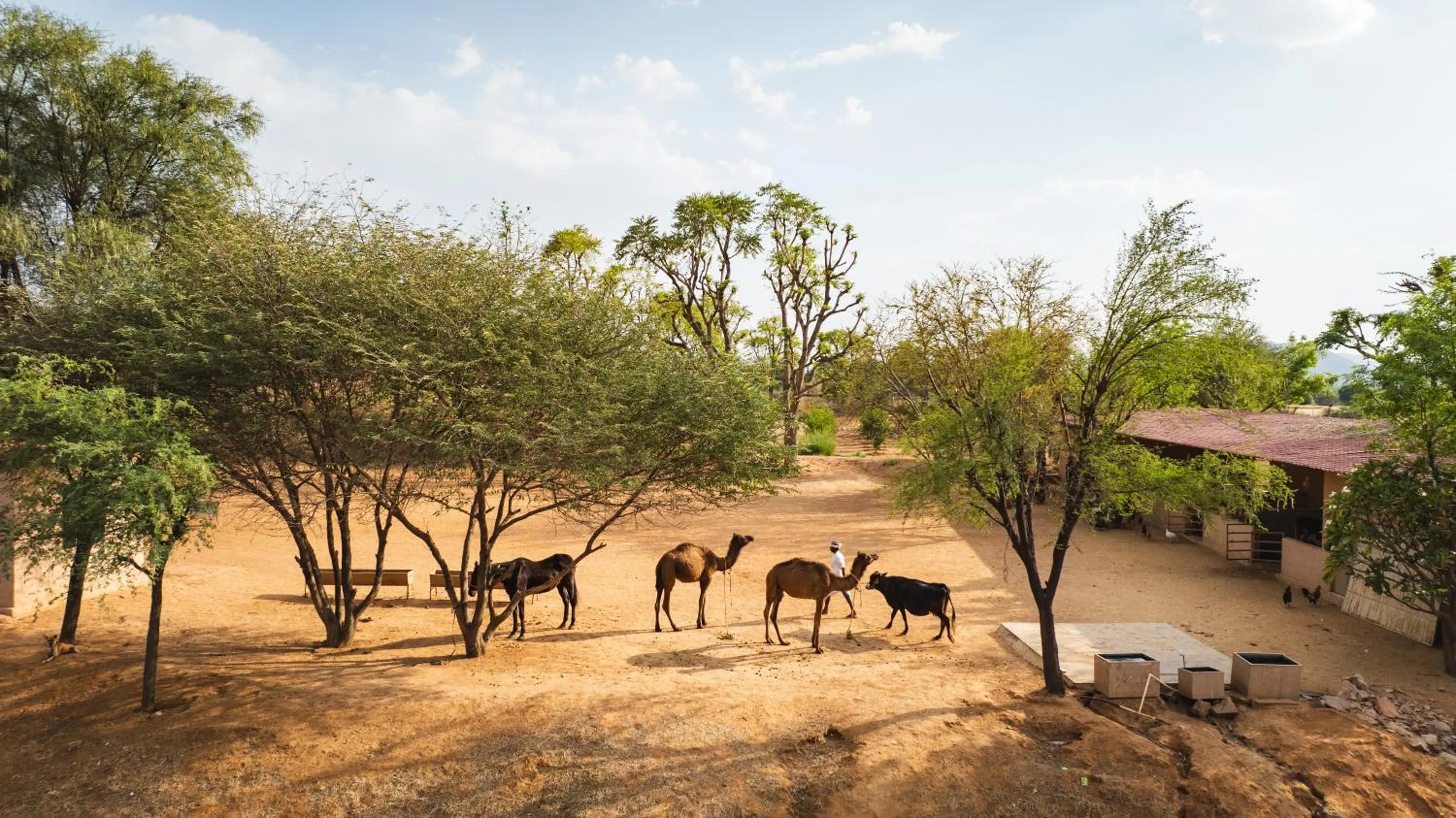 Natural landscape in Anopura Jaipur
