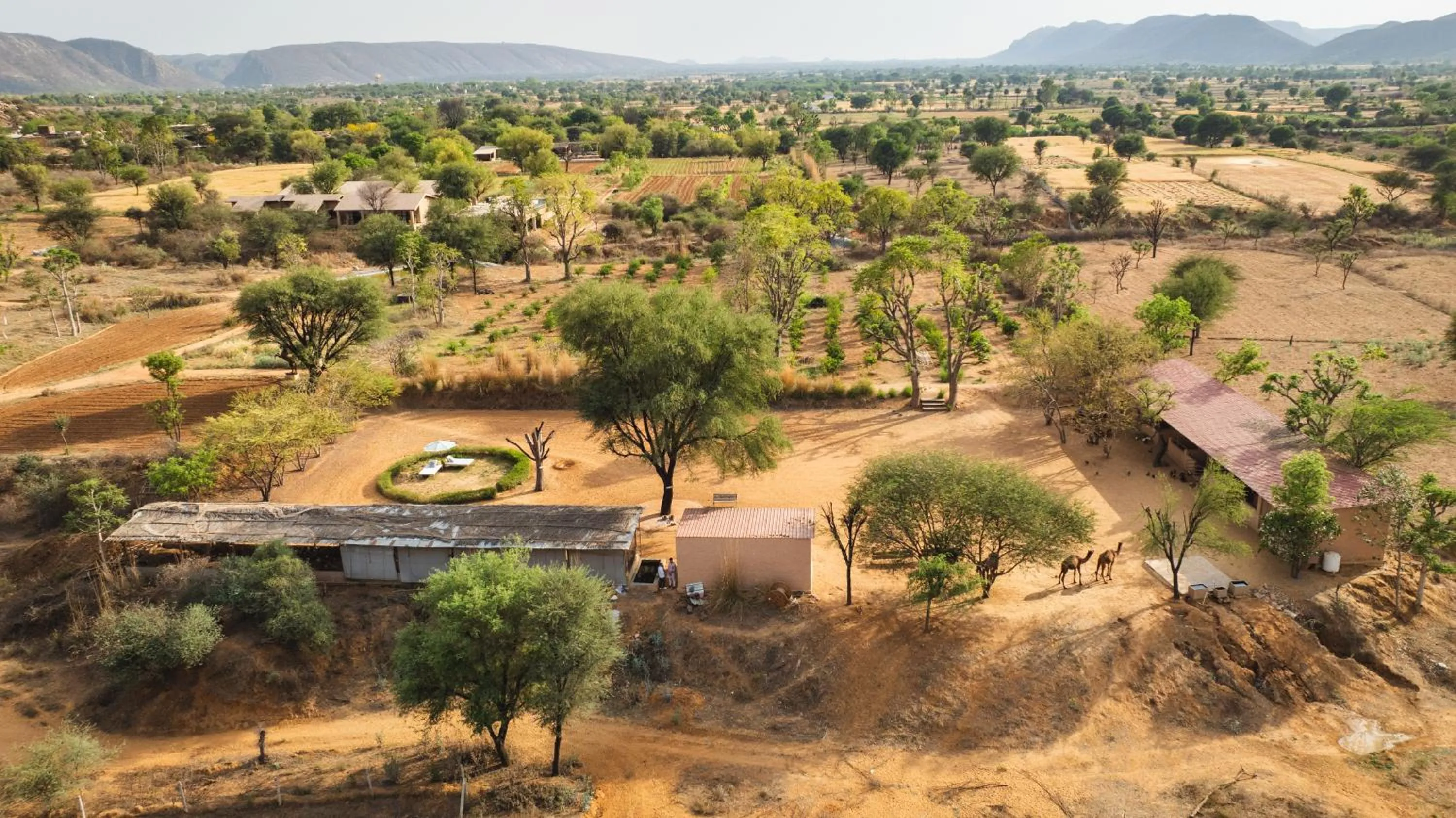 Spring in Anopura Jaipur