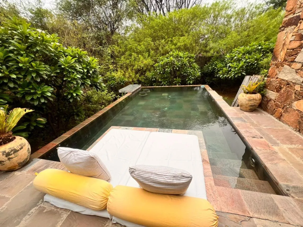 Swimming pool in Anopura Jaipur