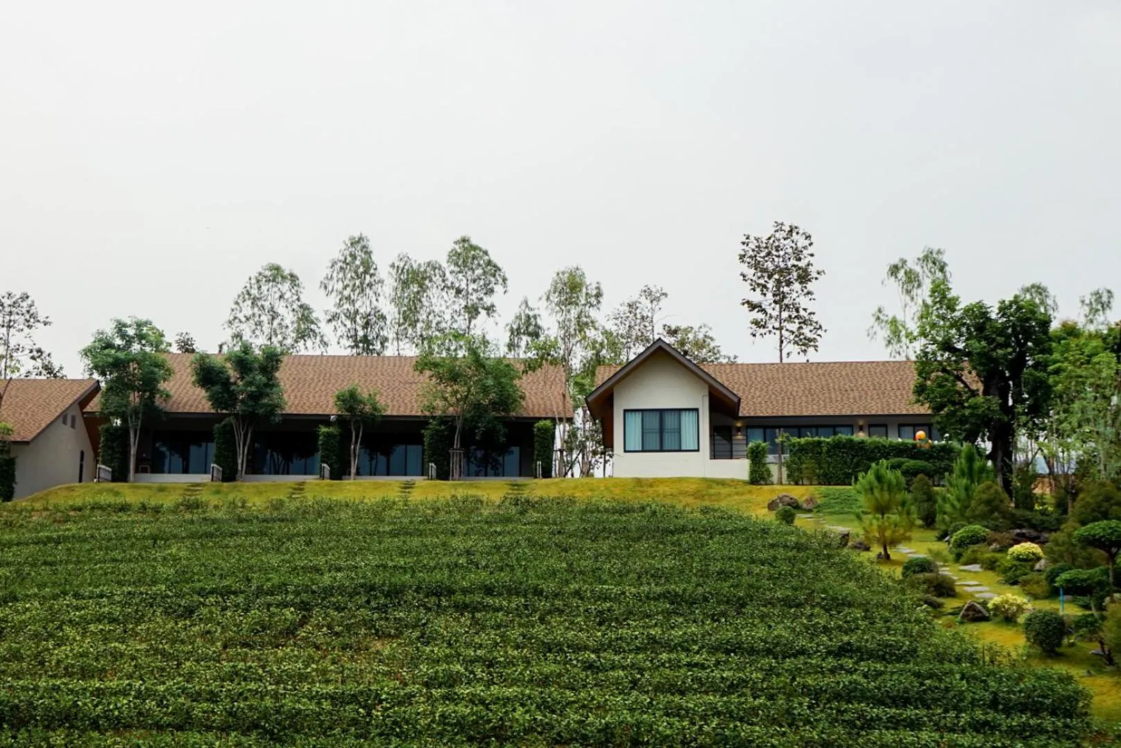 Property building in PASSA ผัสสะ Tea Plantation @Mae On