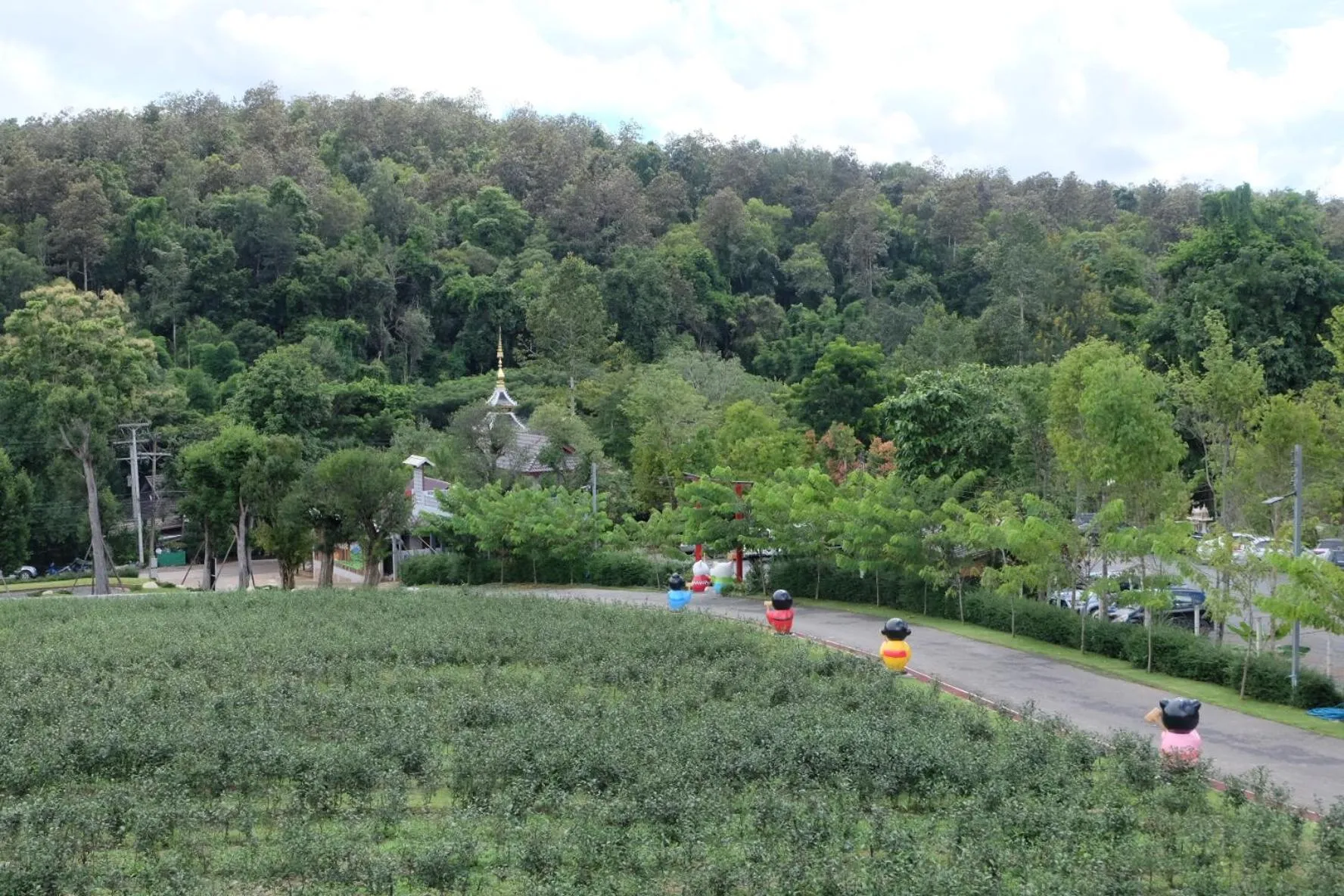Property building in PASSA ผัสสะ Tea Plantation @Mae On