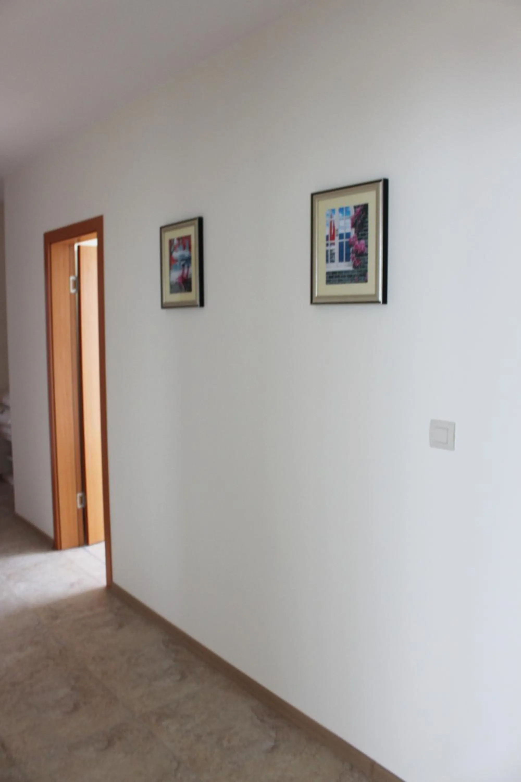 Other in Calithea Complex